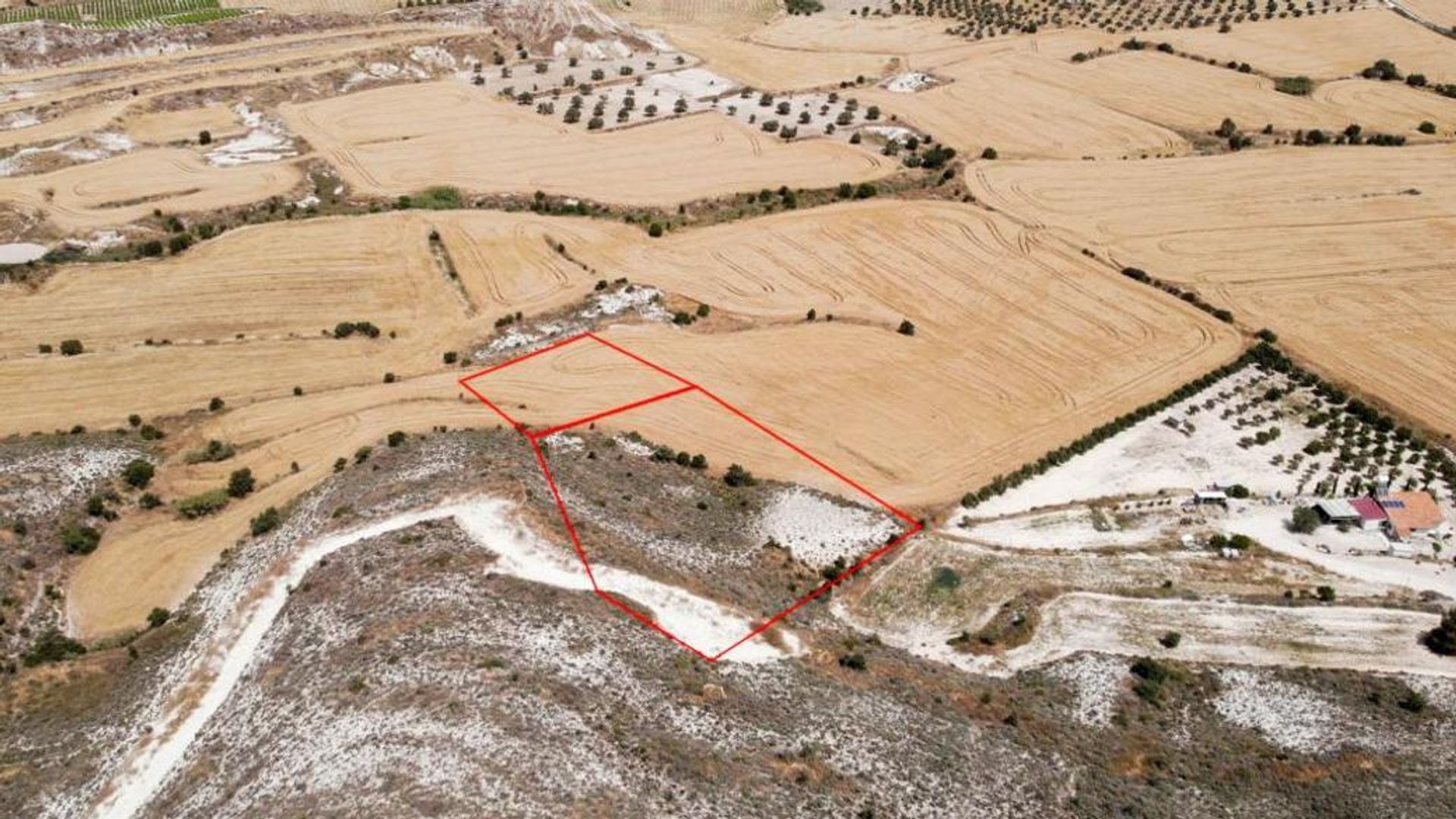 Tierra en , Lefkoşa kazası 11650859