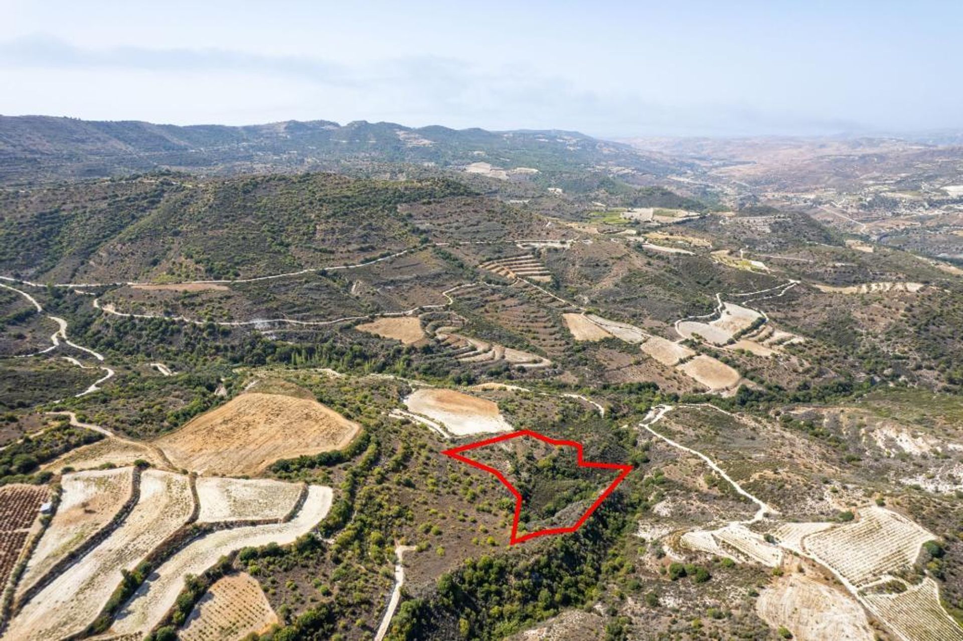 Land im Soularavia, Lemesos 11651011