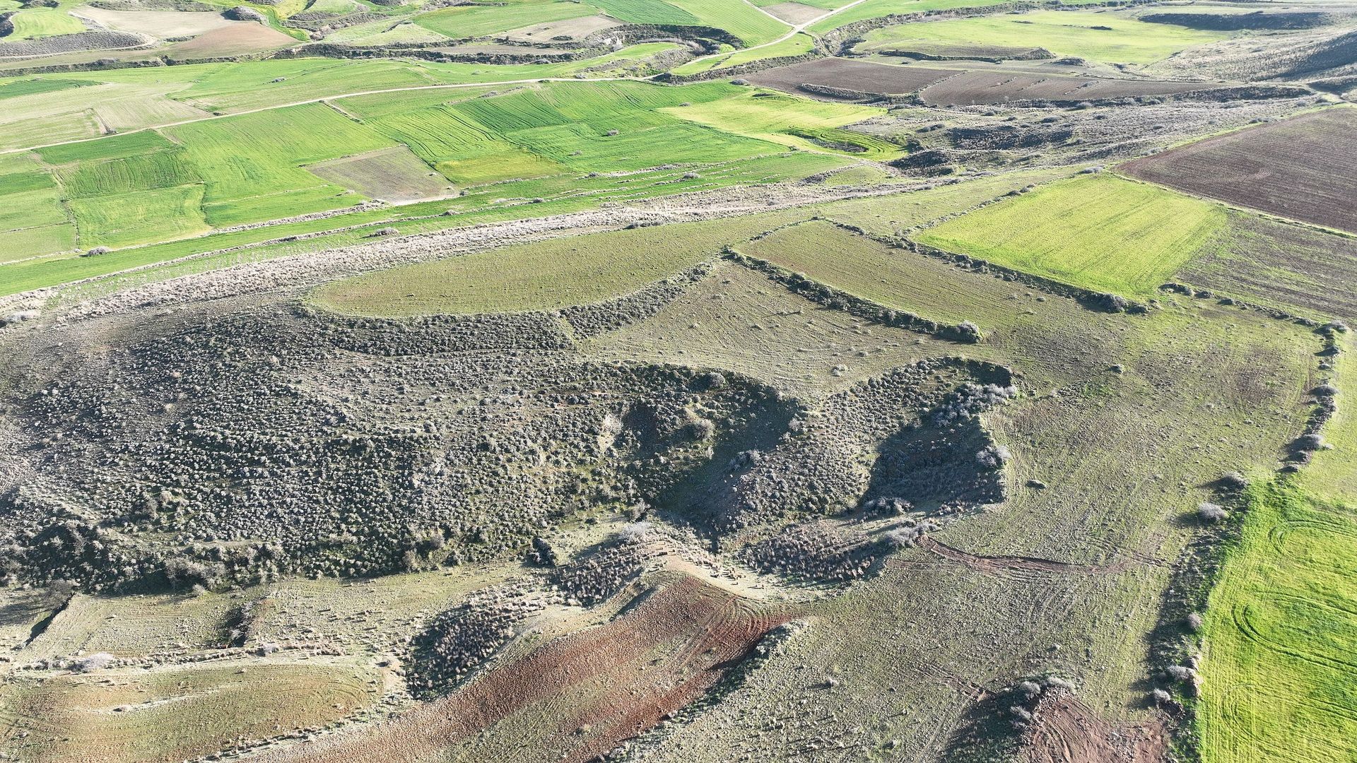 Land in Kokkinotrimitia, Lefkosia 11651131