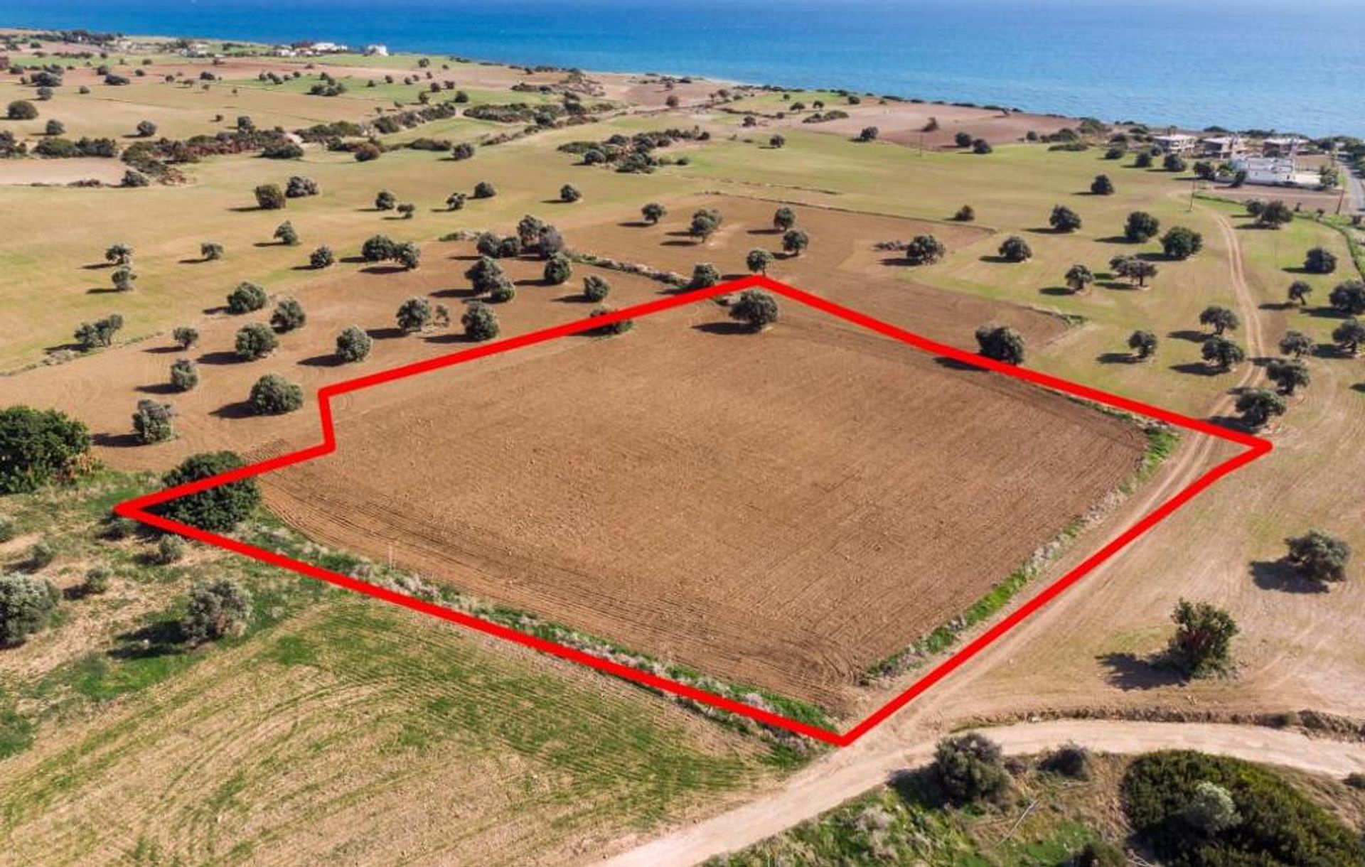 Land in Zygi, Larnaca 11651331