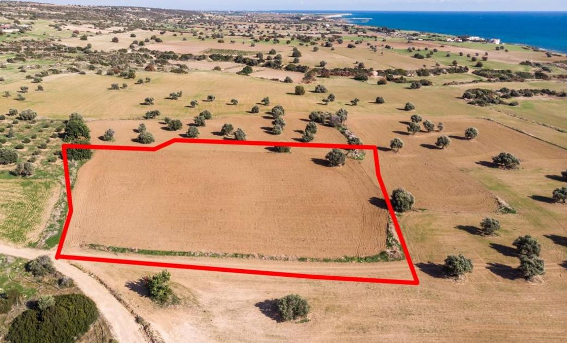 Land in Zygi, Larnaca 11651331