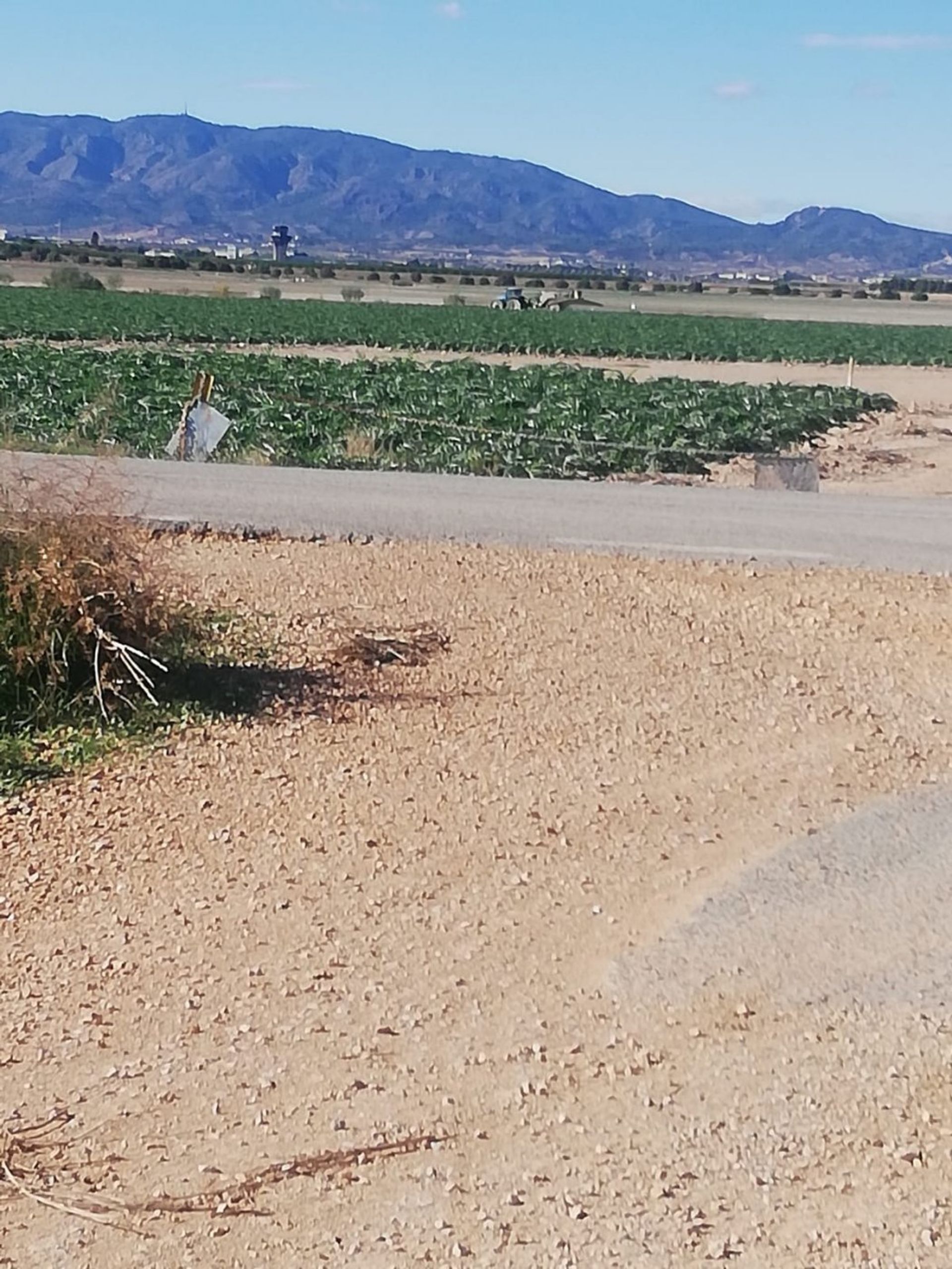 rumah dalam , Región de Murcia 11653769