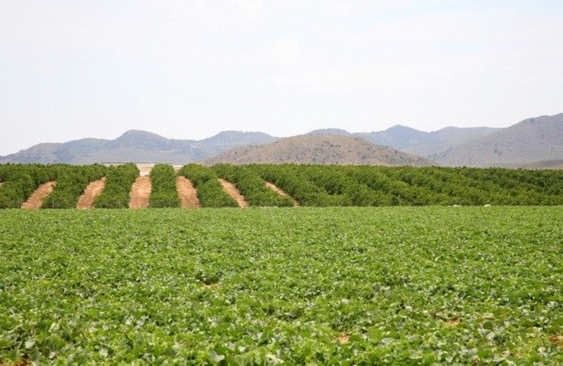 Talo sisään Rincon de Tallante, Murcia 11653773