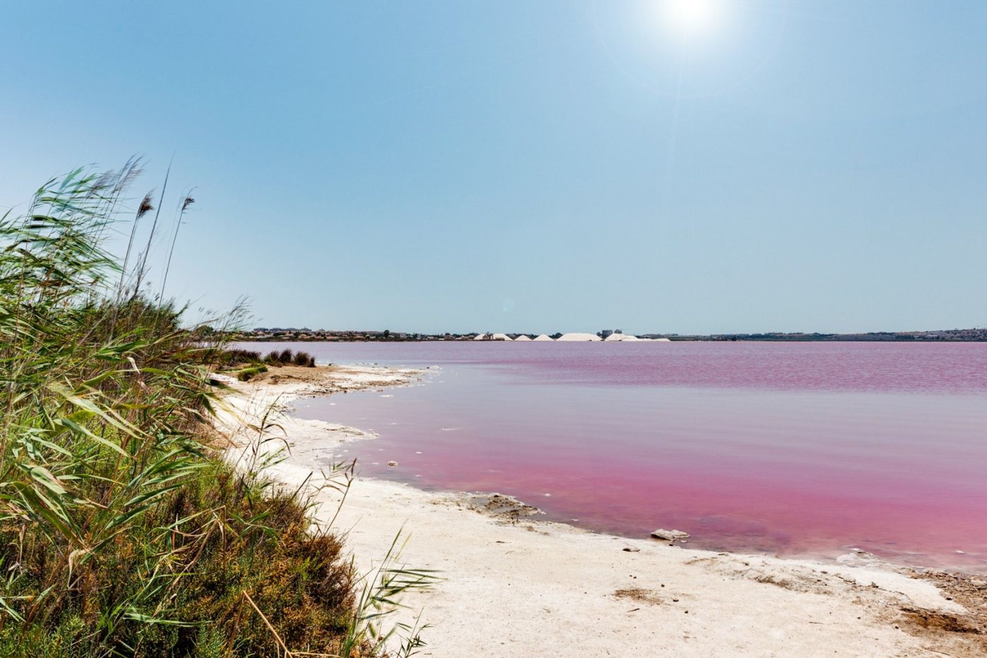 Talo sisään Torrevieja, Comunidad Valenciana 11653802