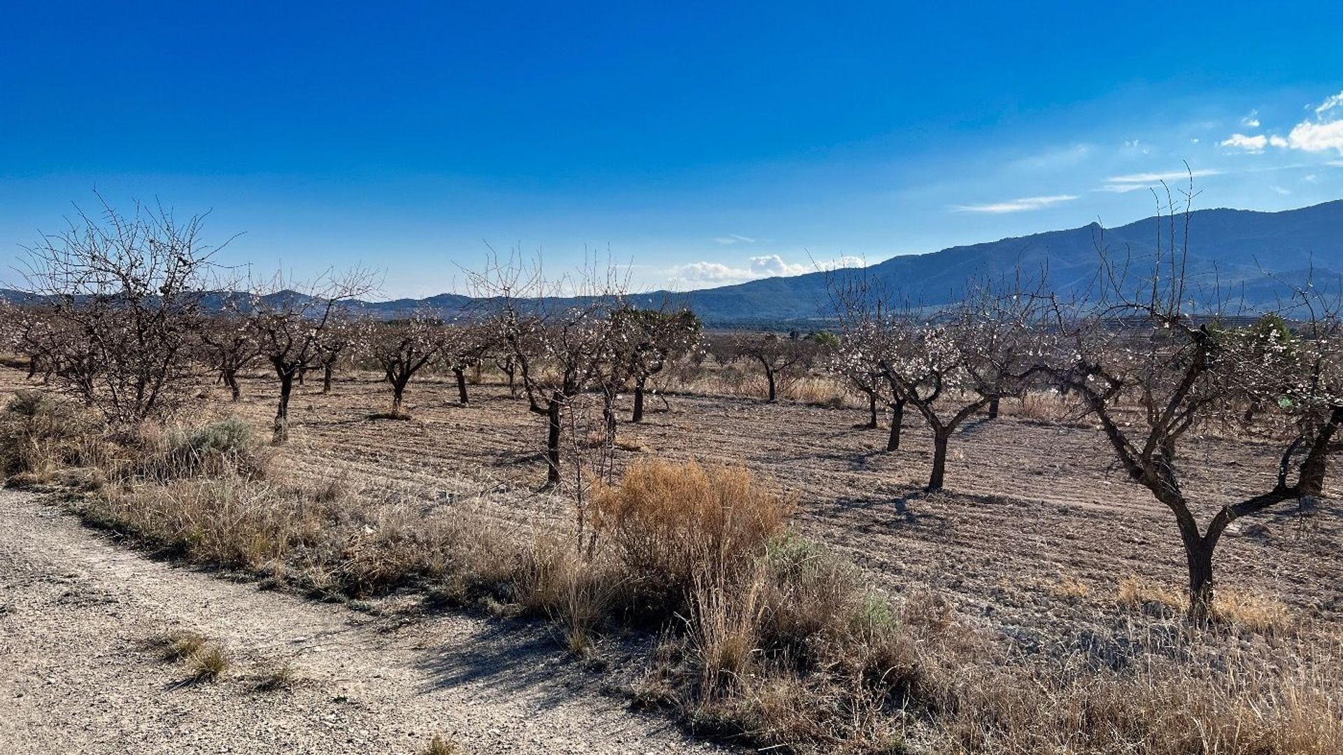 Rumah di Pliego, Región de Murcia 11653890