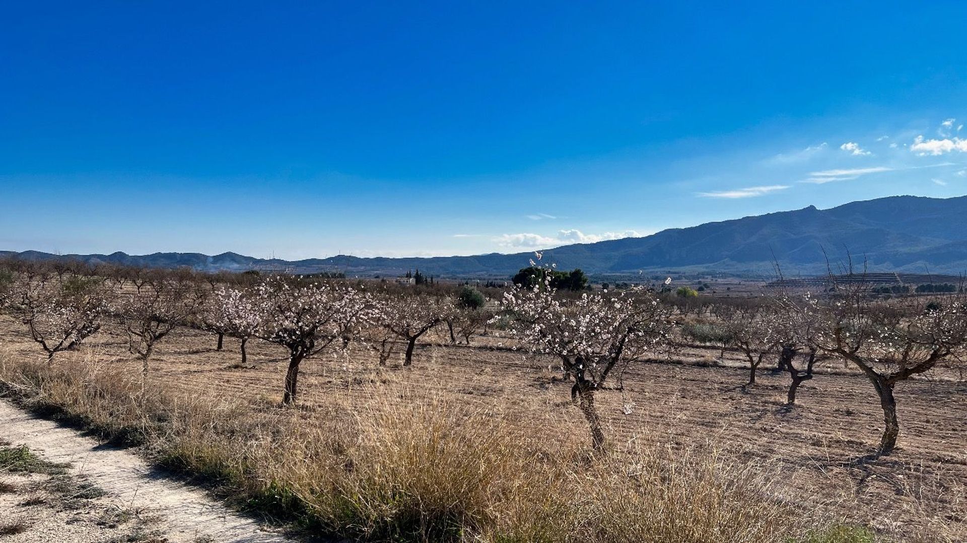 Rumah di Pliego, Región de Murcia 11653890