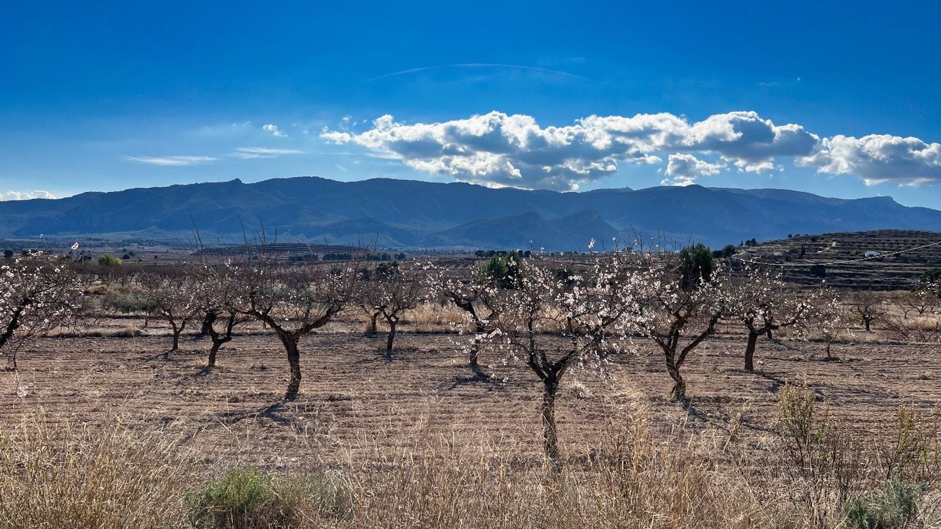 Rumah di Pliego, Región de Murcia 11653890