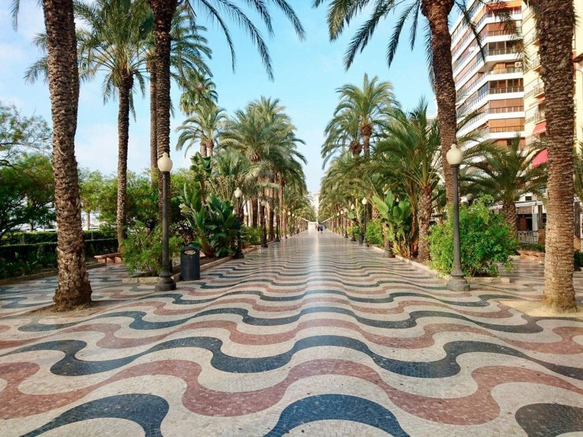 عمارات في Alicante (Alacant), Comunidad Valenciana 11653954