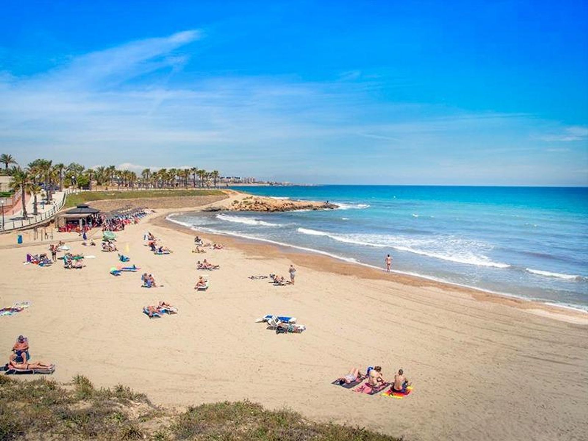 公寓 在 Playa Flamenca, Comunidad Valenciana 11654023