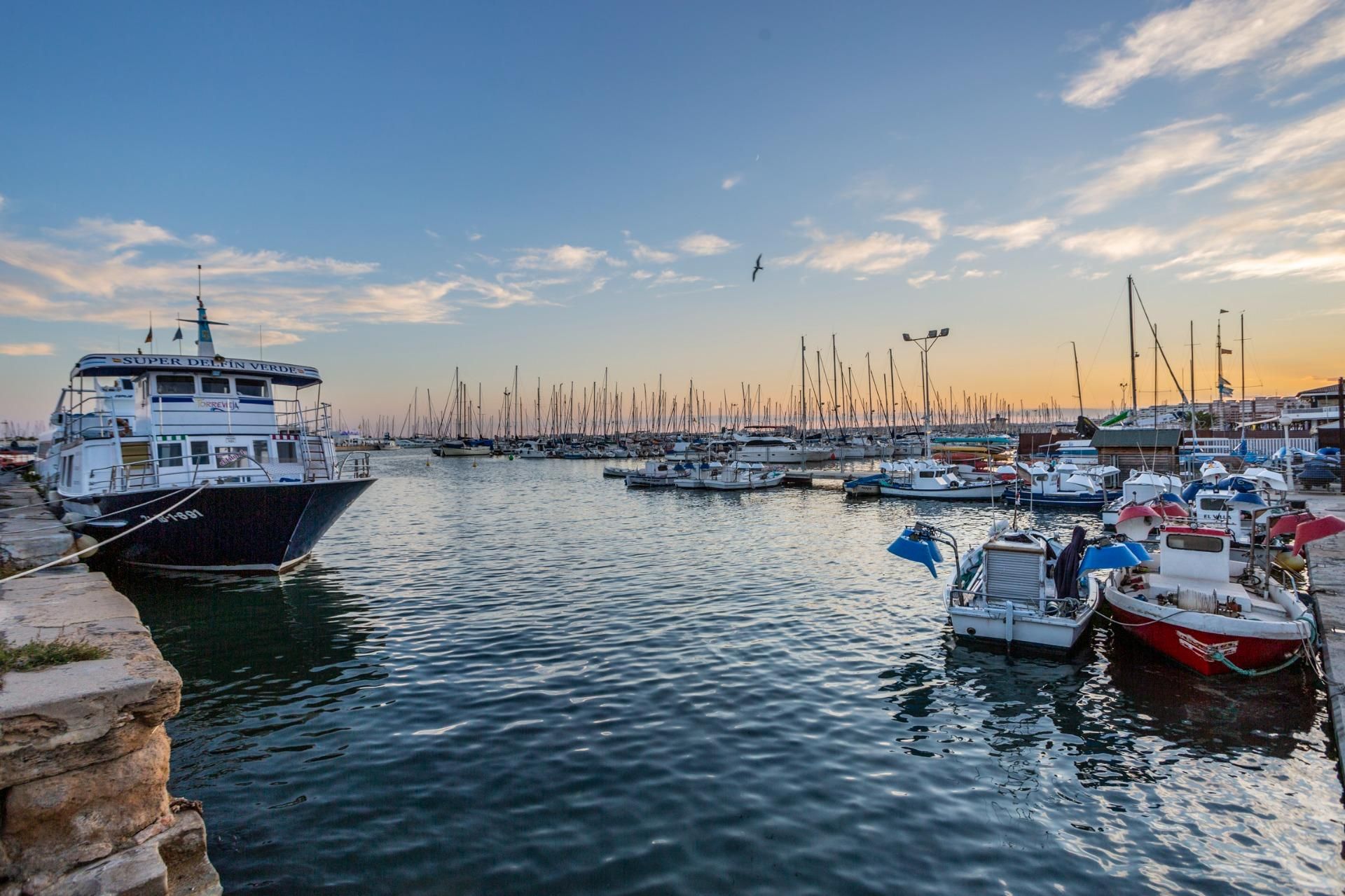 σπίτι σε Torrevieja, Comunidad Valenciana 11654038