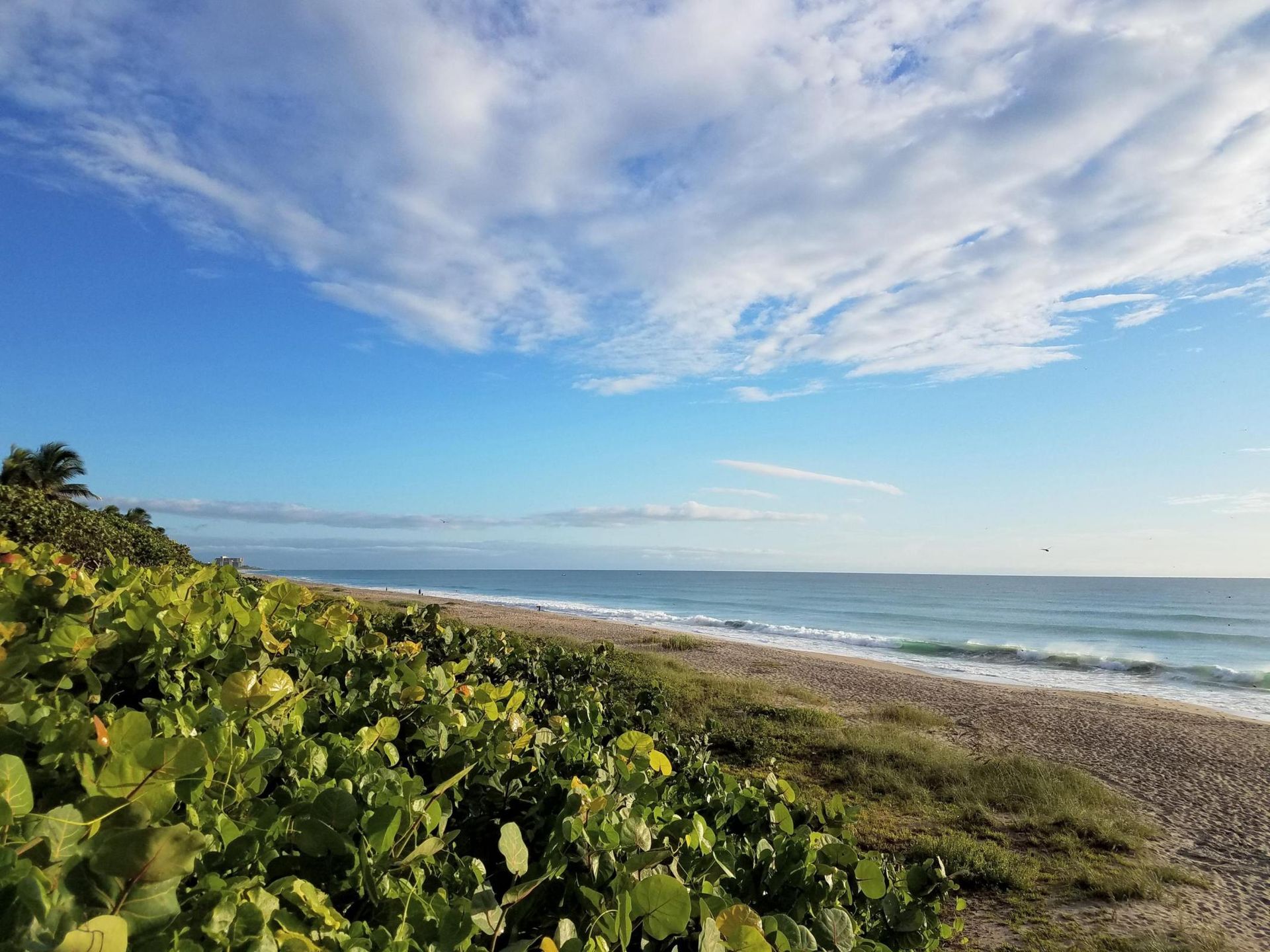 жилой дом в Jupiter, Florida 11654093