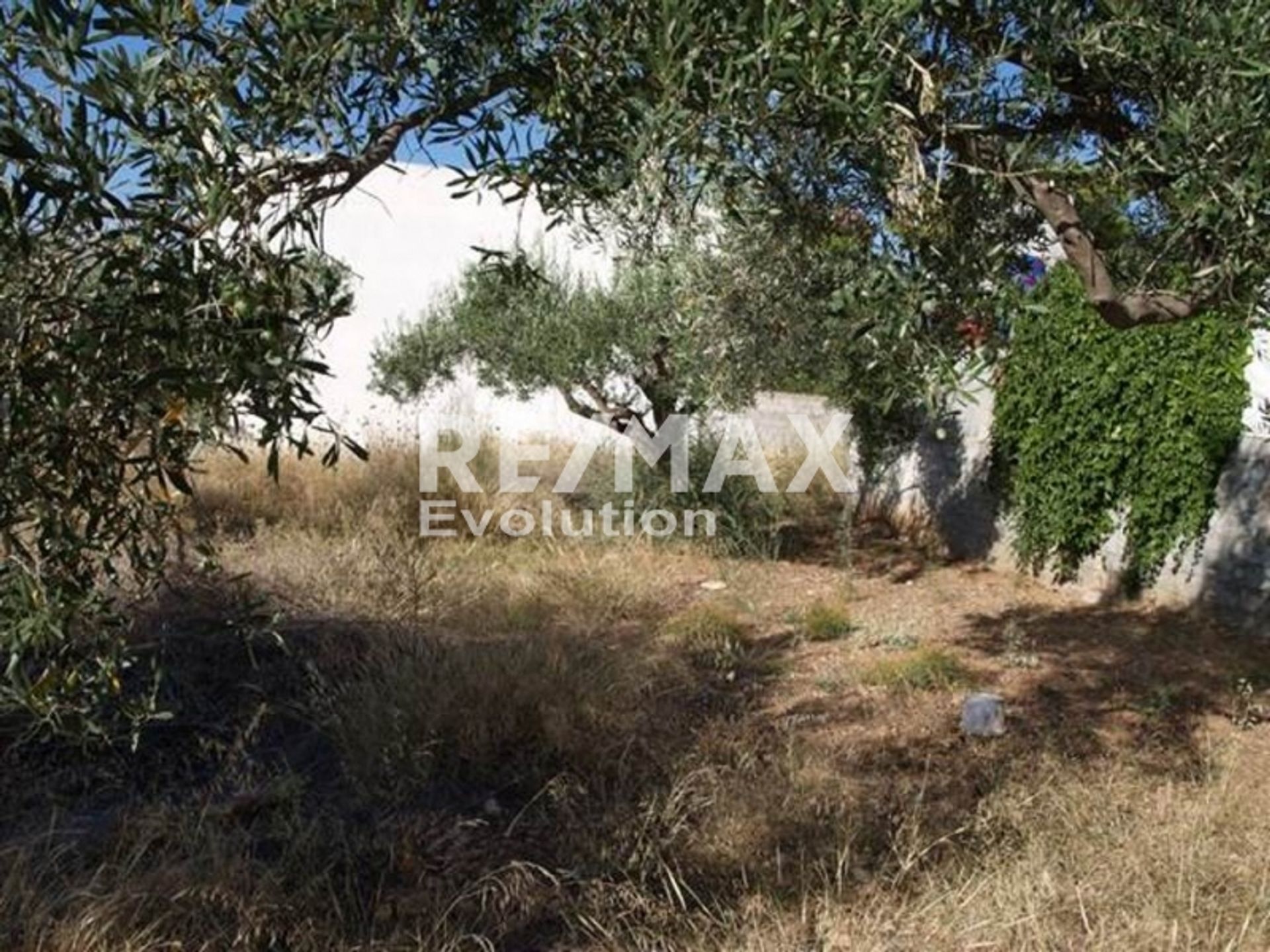 Land in Agia Marina,  11654358