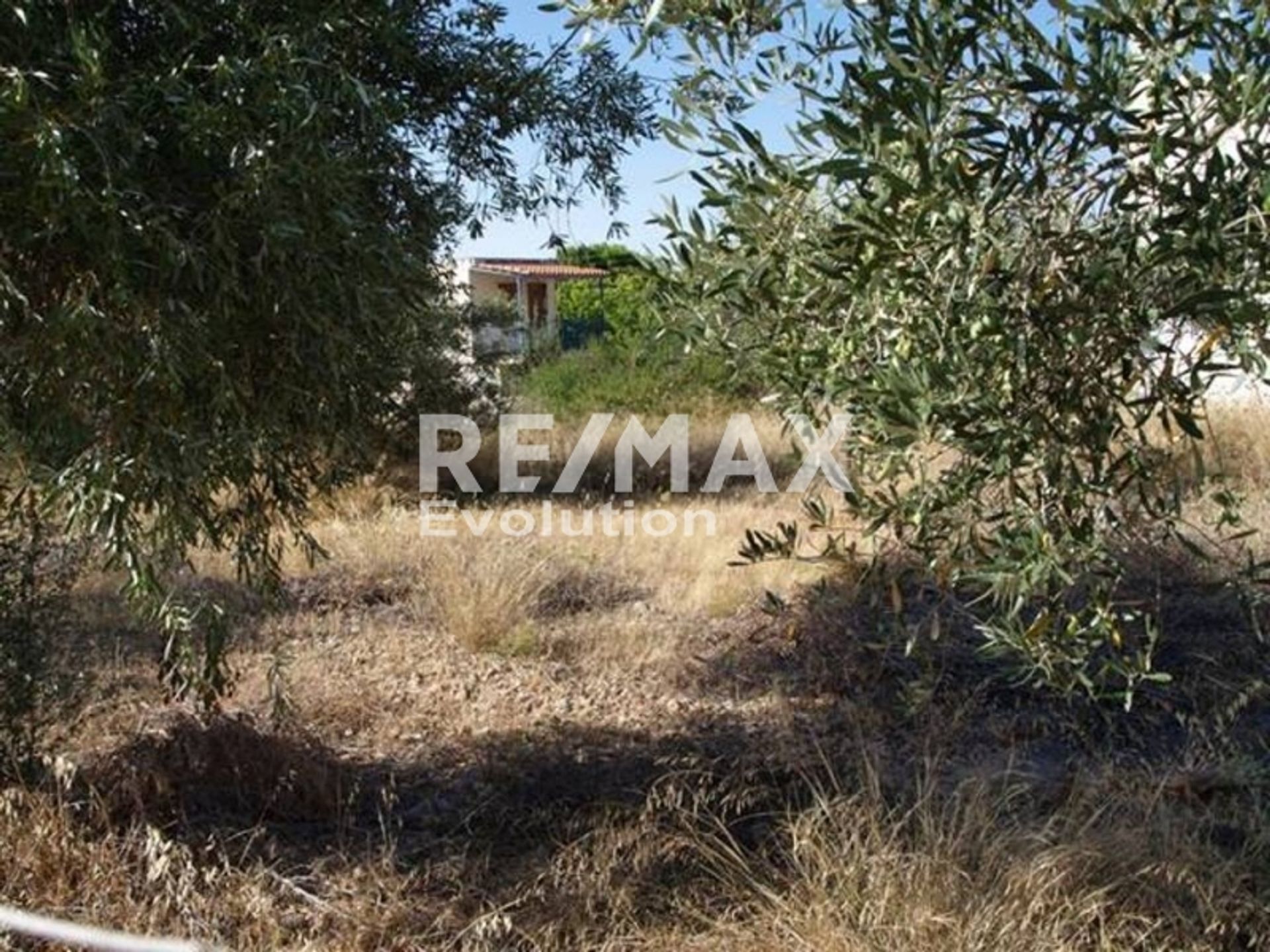 Land in Agia Marina,  11654358