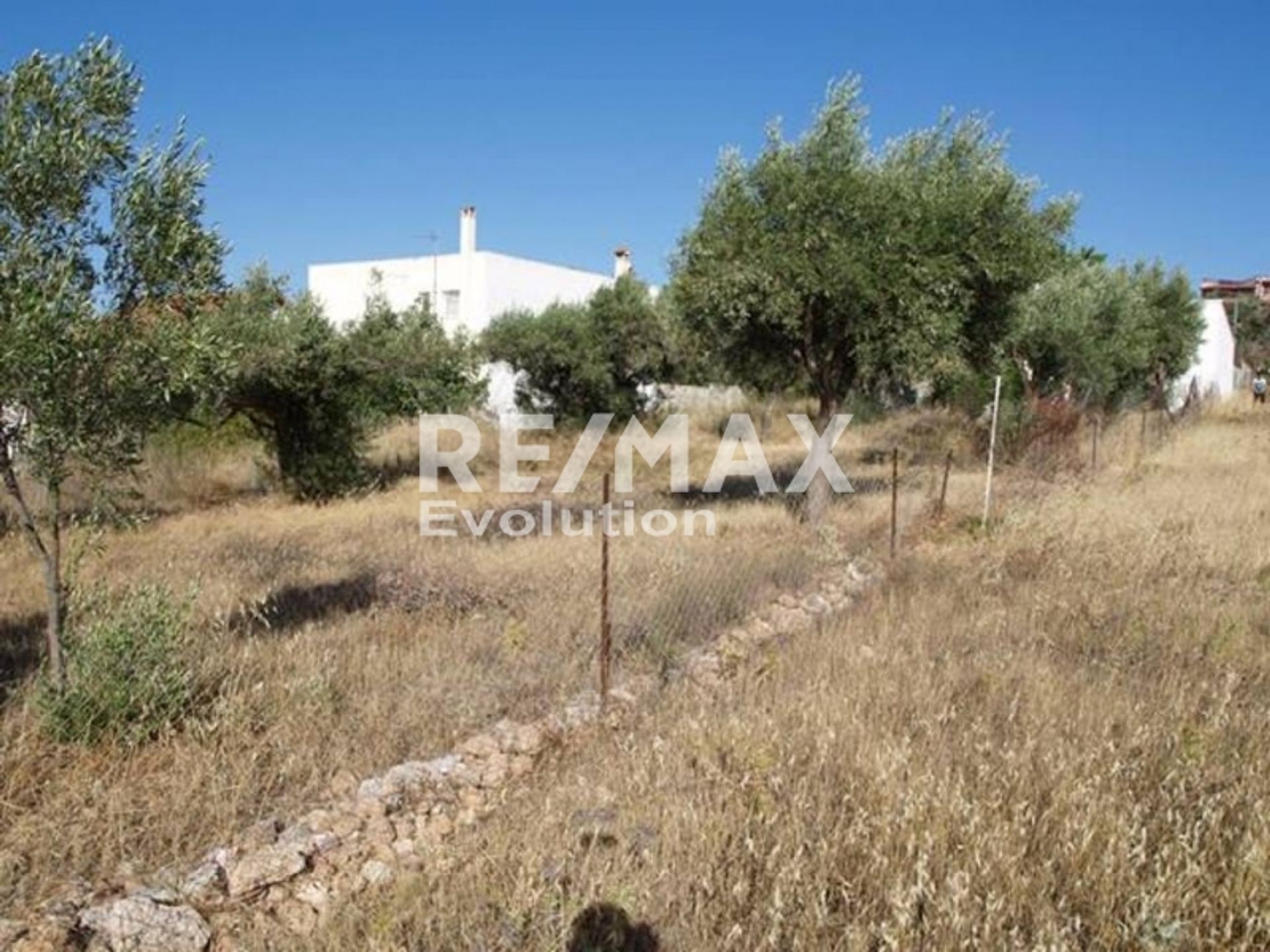 Land im Agia Marina,  11654358