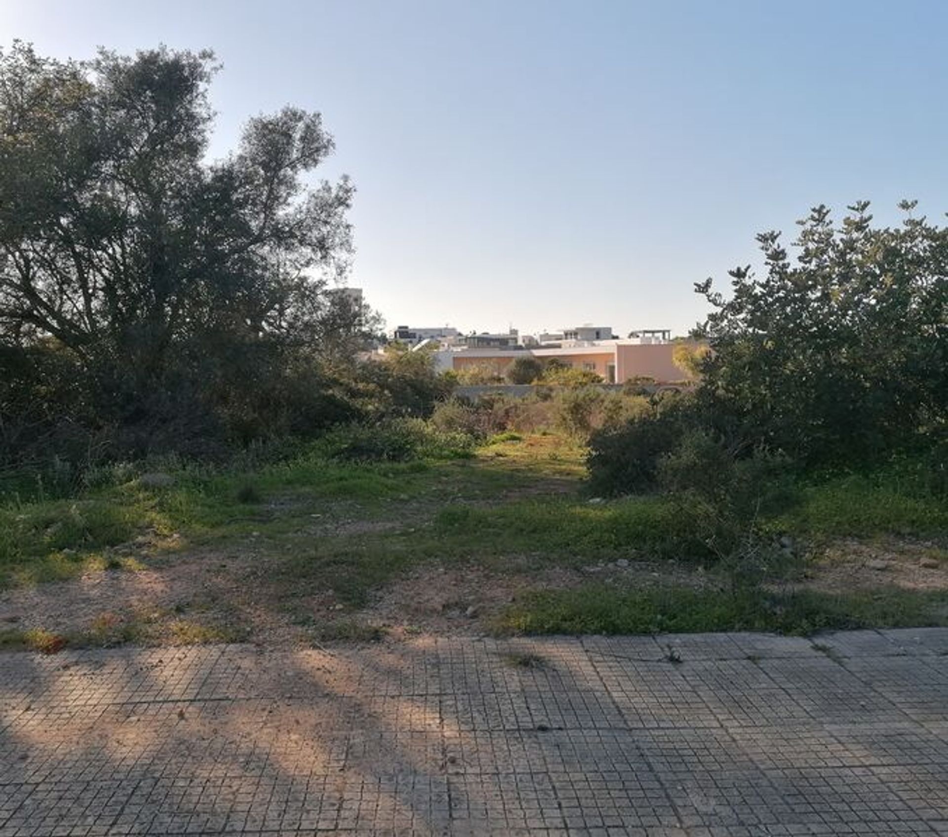 Land in , Faro District 11654543