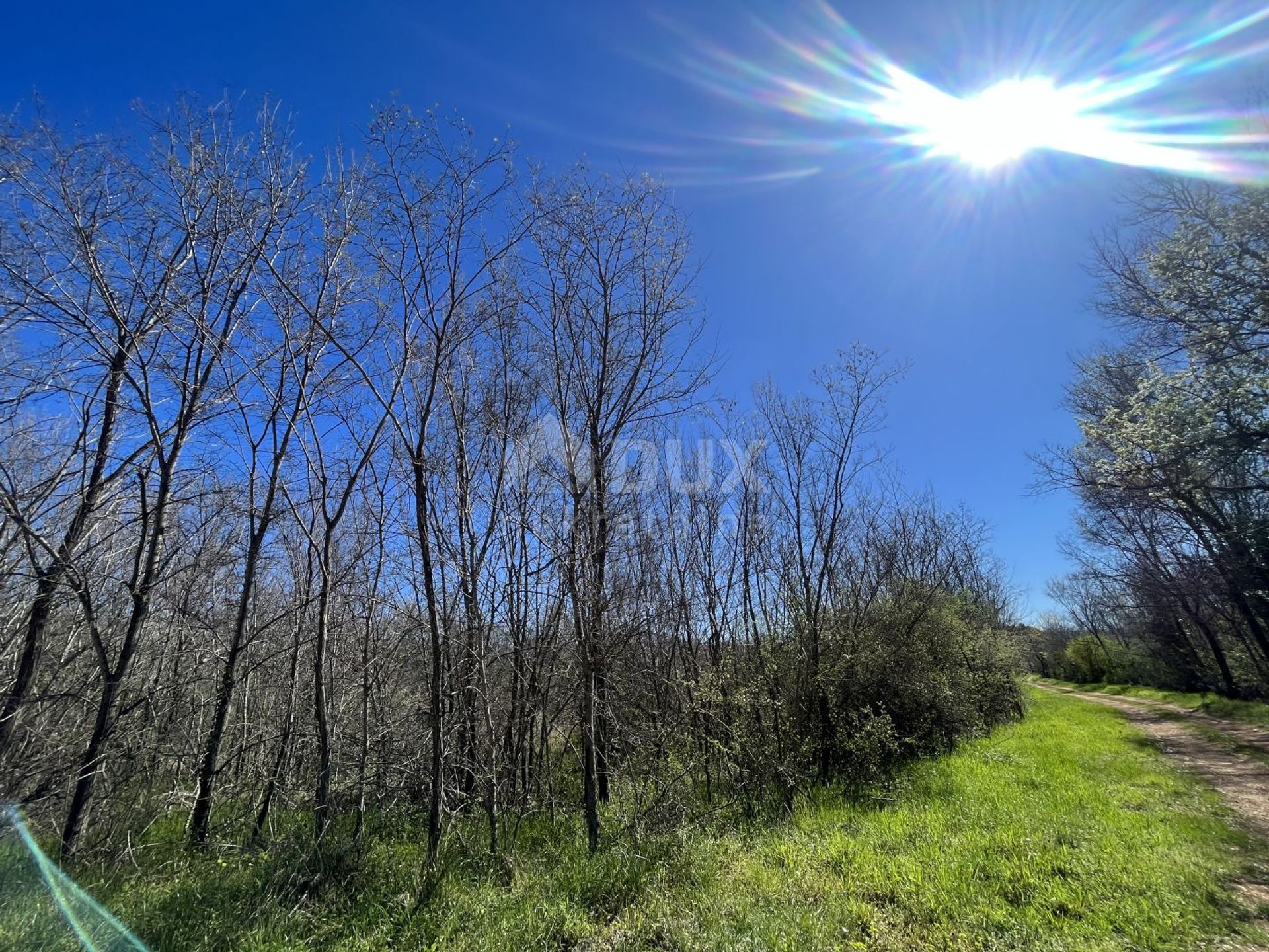 土地 在 Labinci, Istria County 11654750