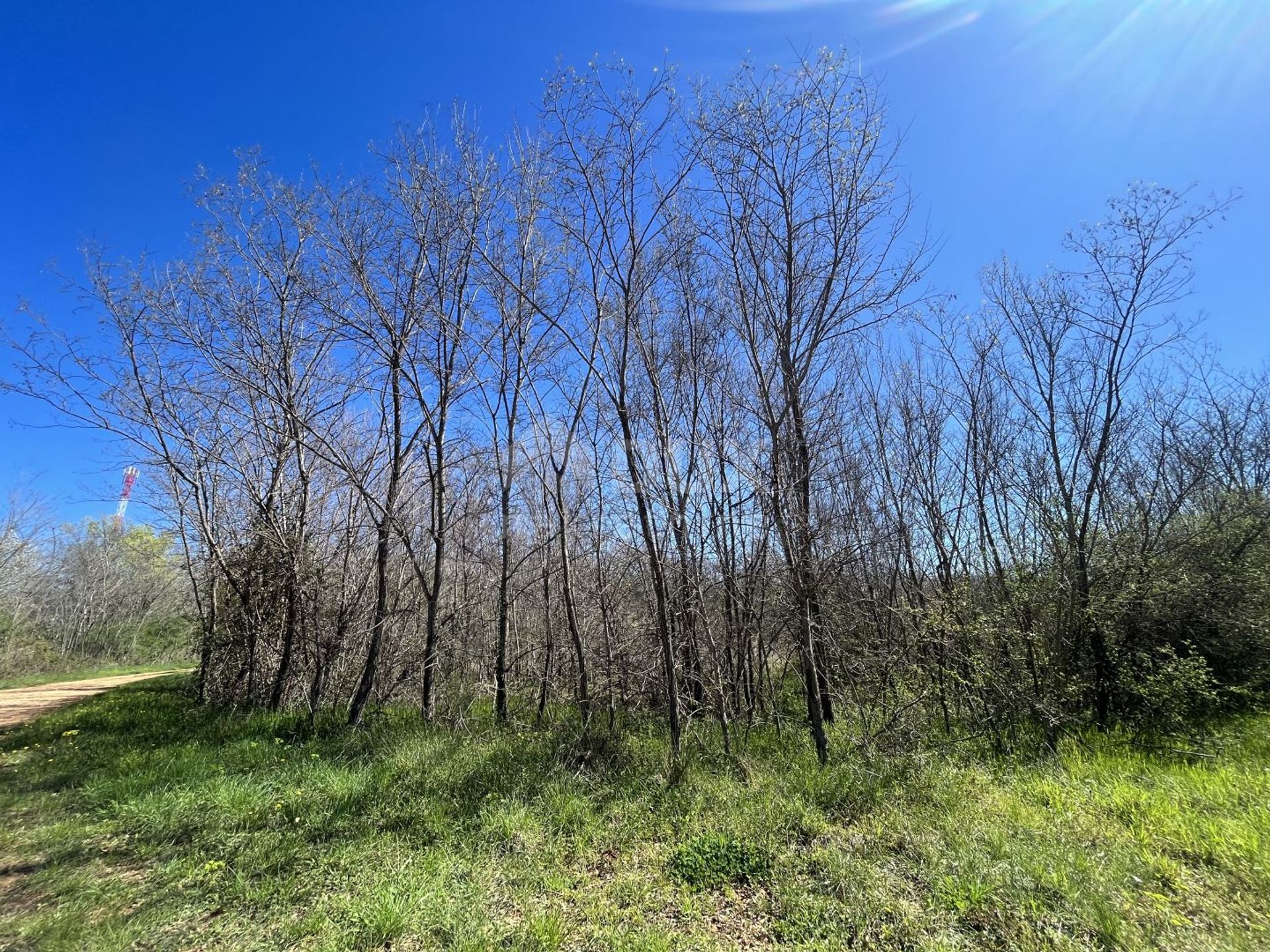 Land in Kastelir, Istarska Zupanija 11654750