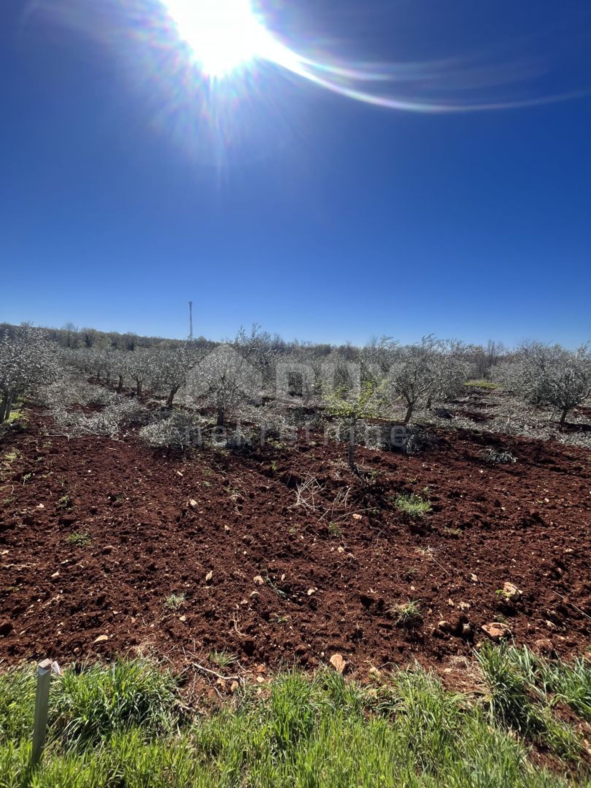 ארץ ב קסטליר, איסטרסקה זופנייה 11654751