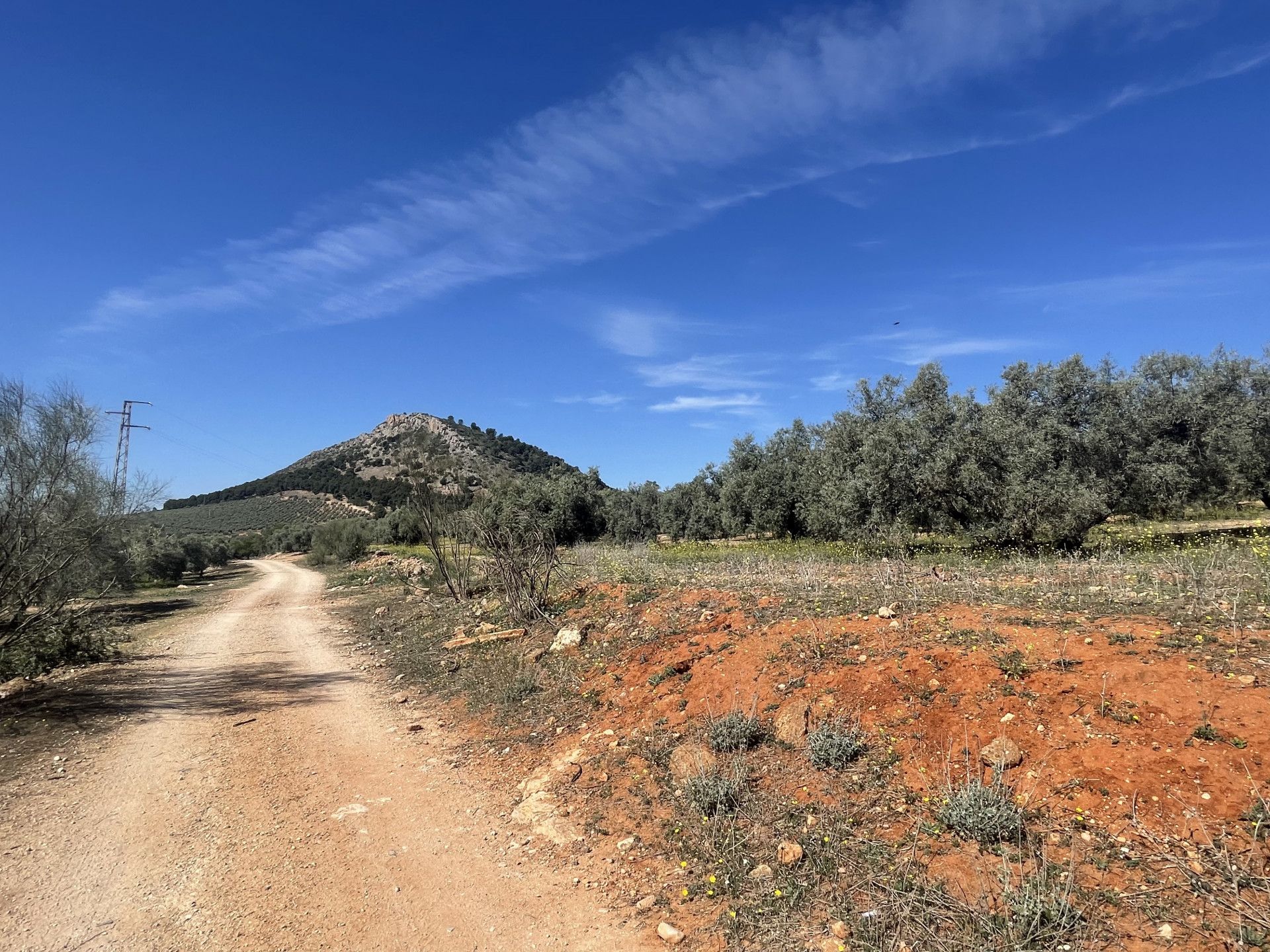 Tierra en Mollina, Andalusia 11654757