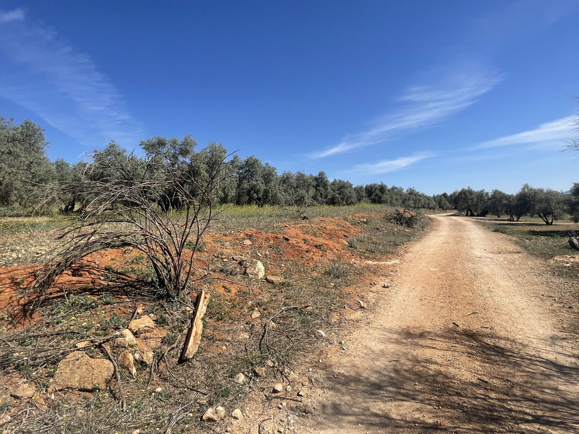 Tierra en Mollina, Andalusia 11654757