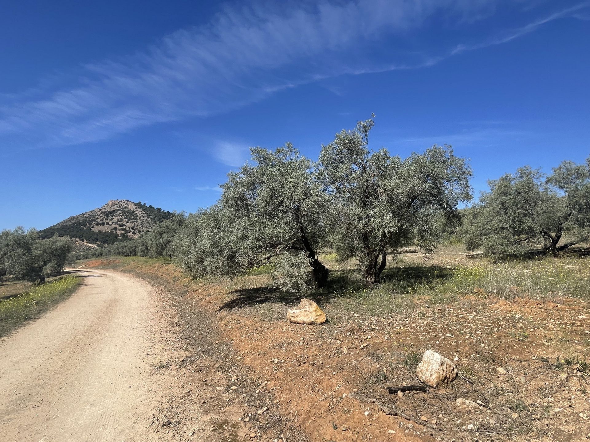 Land im Mollina, Andalusia 11654757