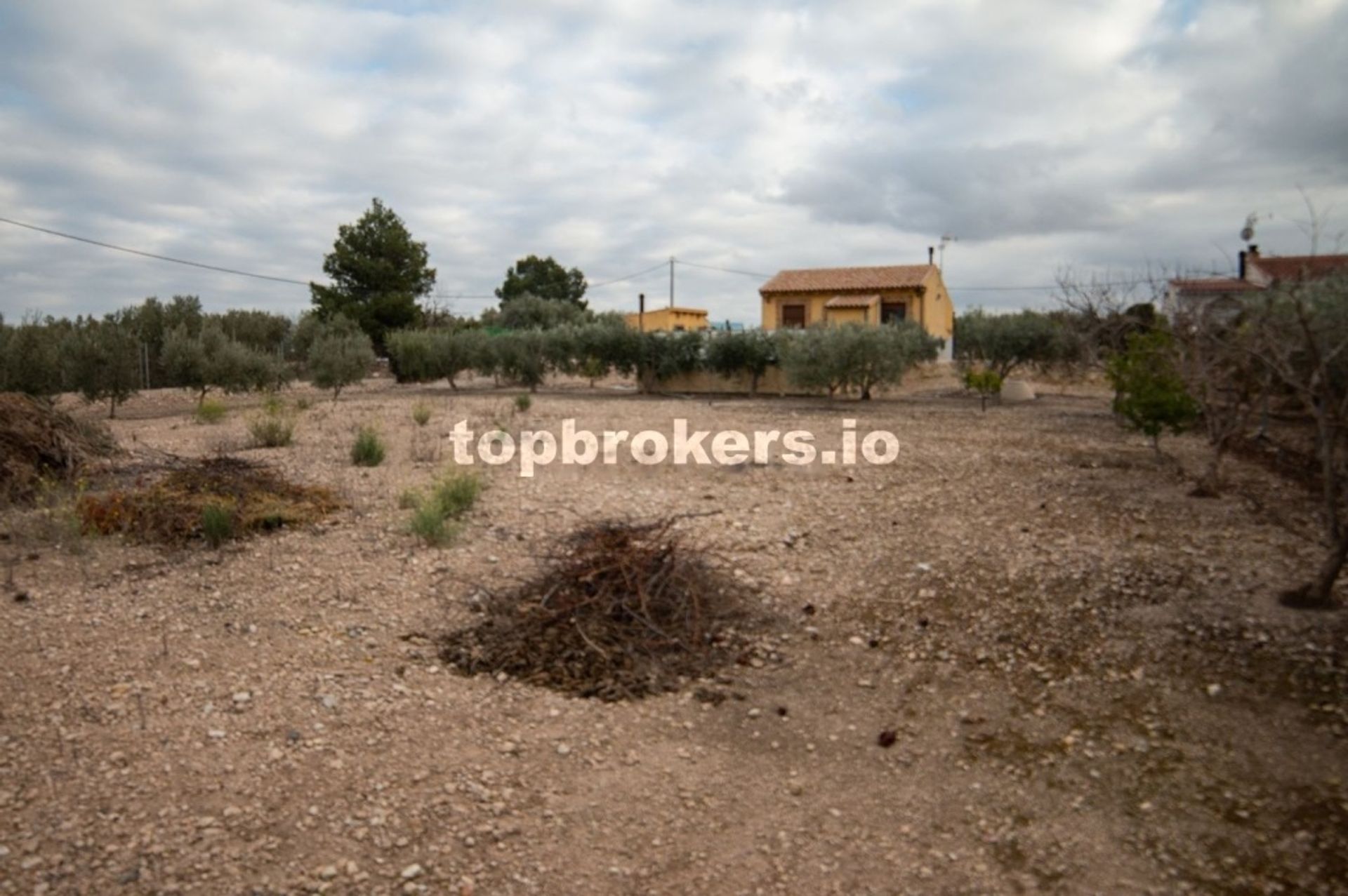 Haus im Blanca, Región de Murcia 11655562