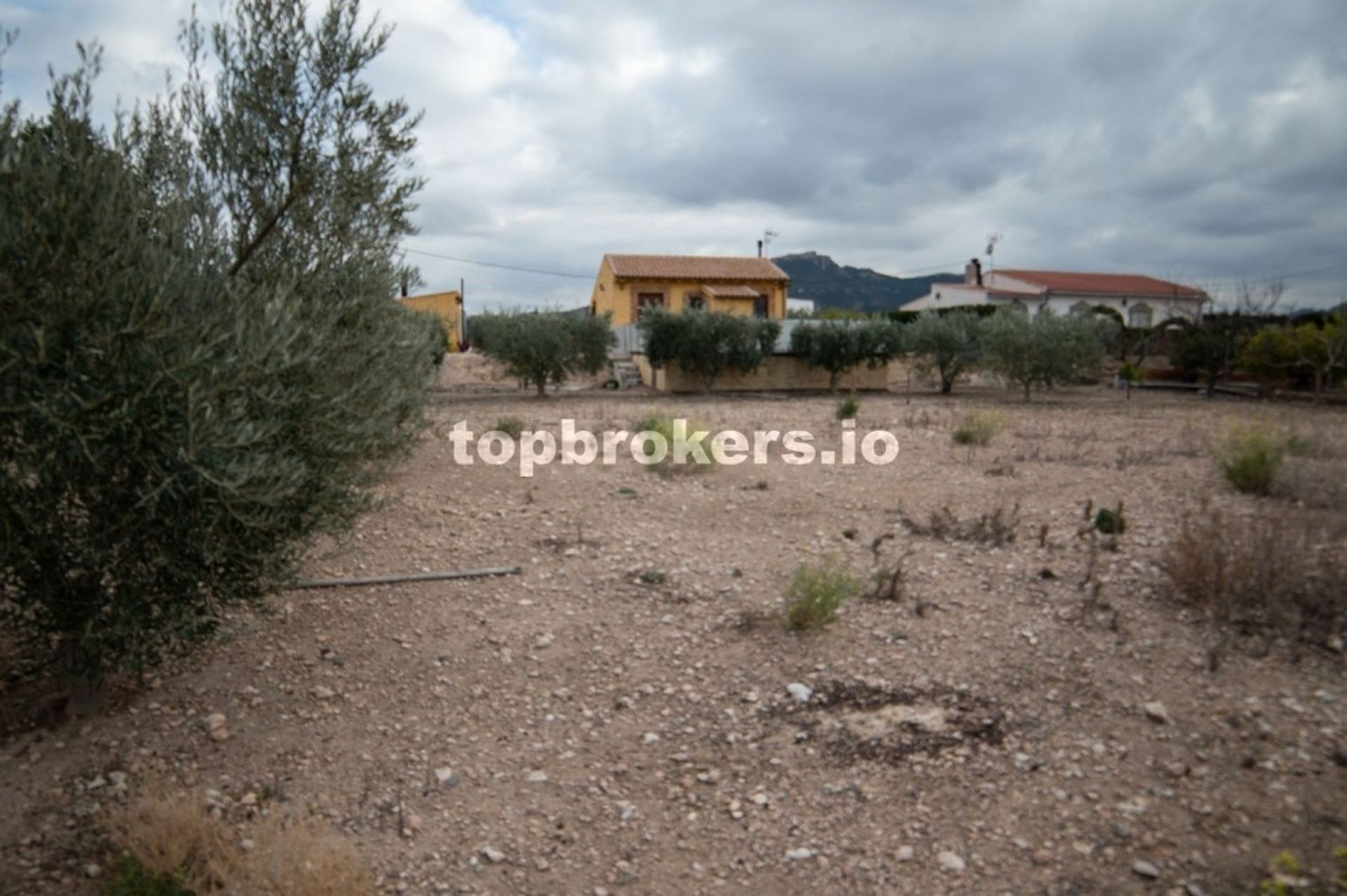 Haus im Blanca, Región de Murcia 11655562