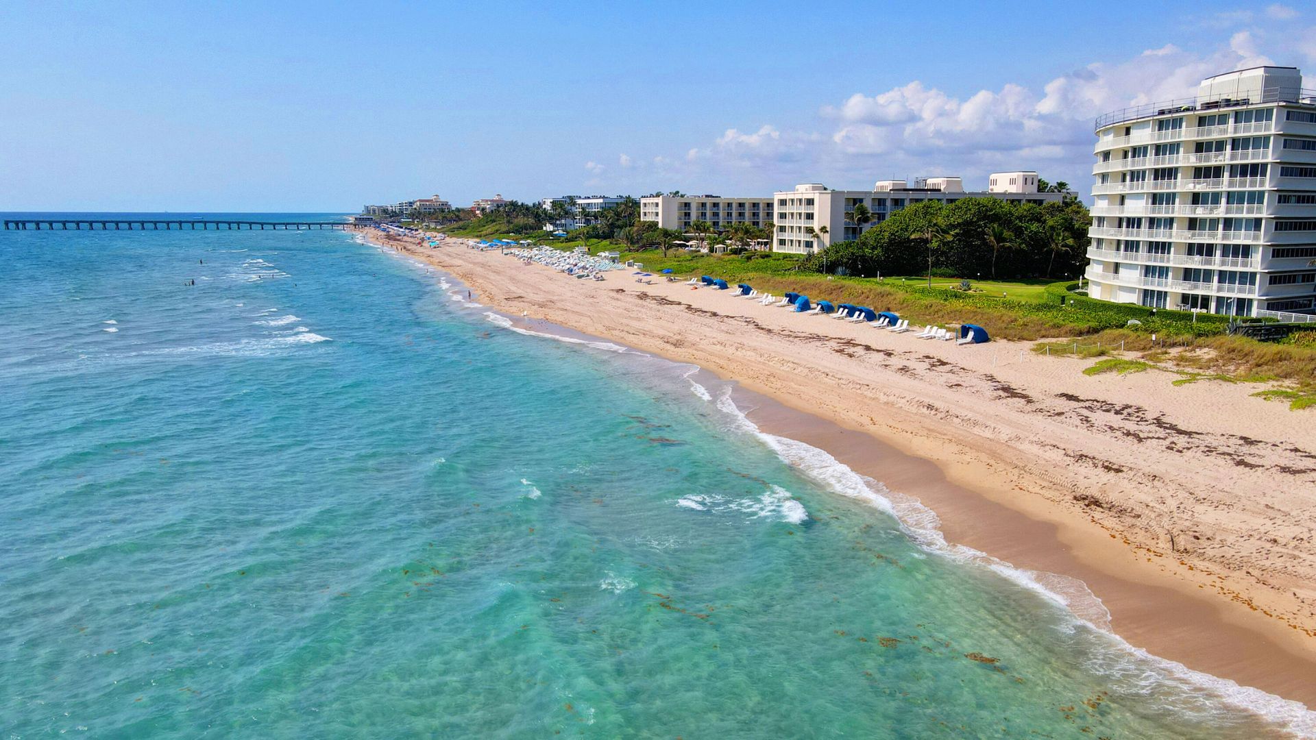 분양 아파트 에 Palm Beach, Florida 11655617