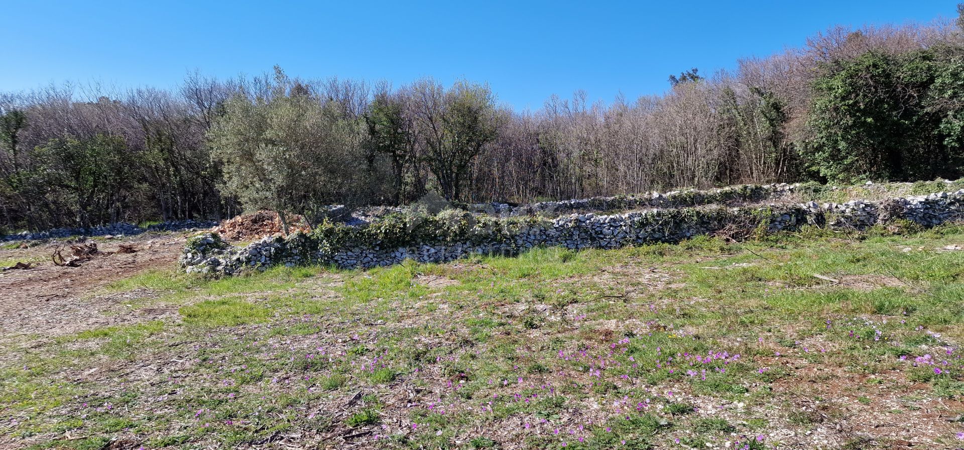 Terre dans Rabac, Istria County 11656124