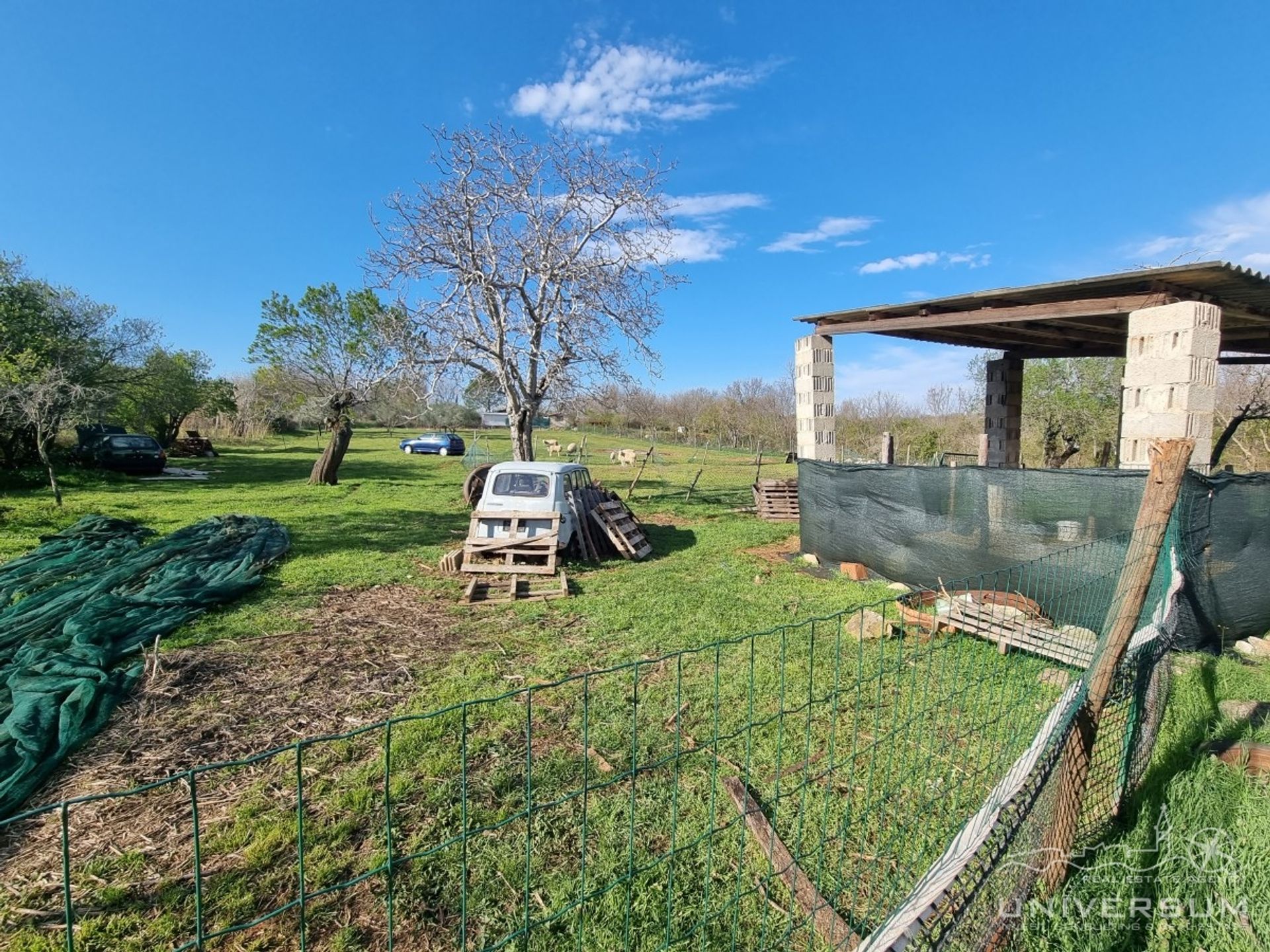 casa no Brtonigla, Istarska Zupanija 11656386