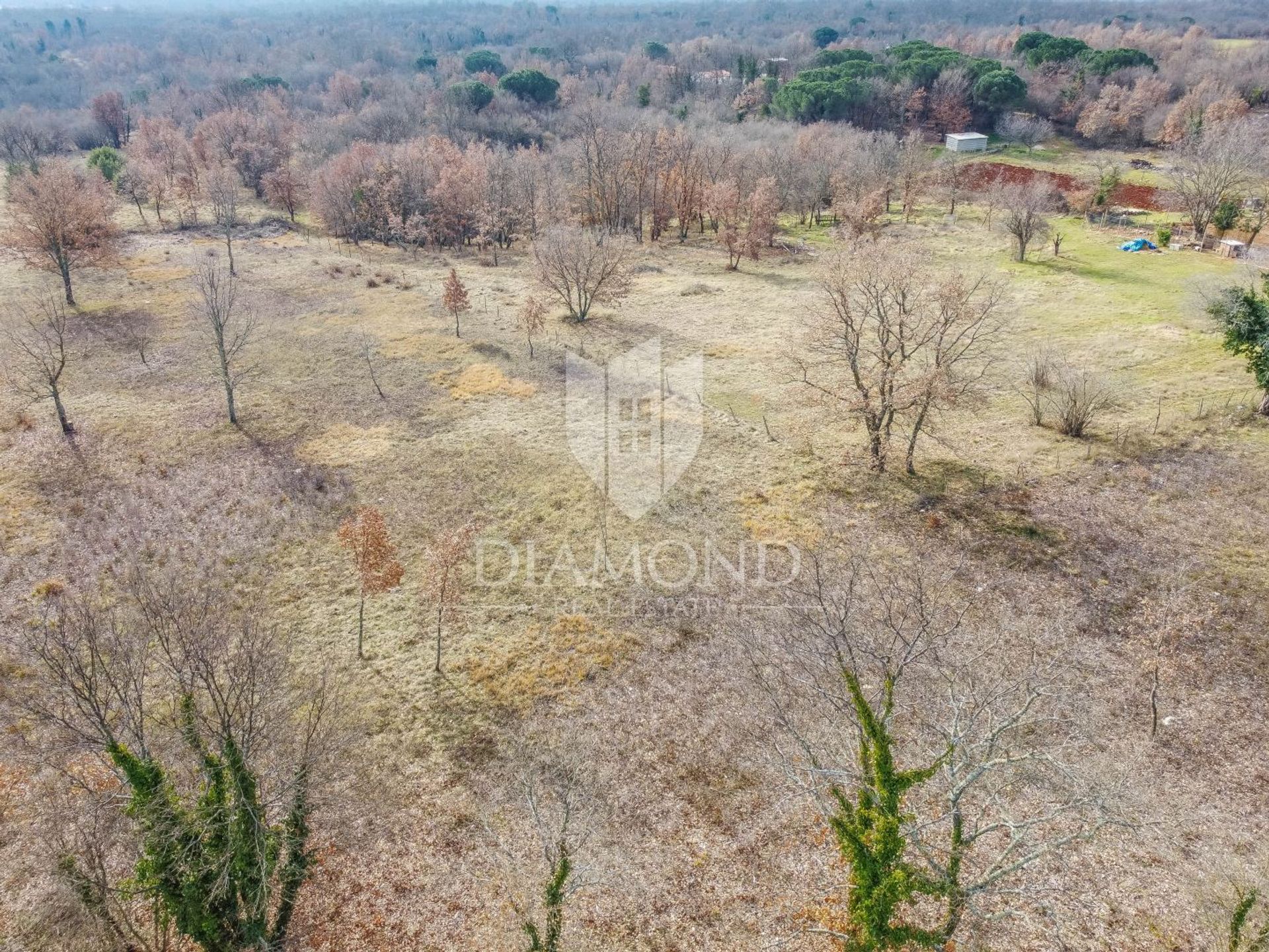 Land in Poreč, Istria County 11656431