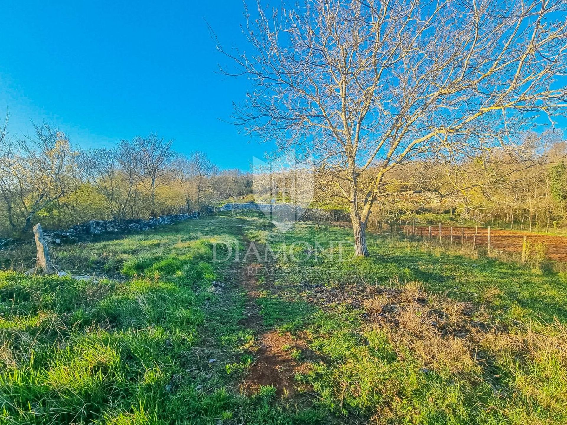 Tanah di Grožnjan, Istria County 11656437