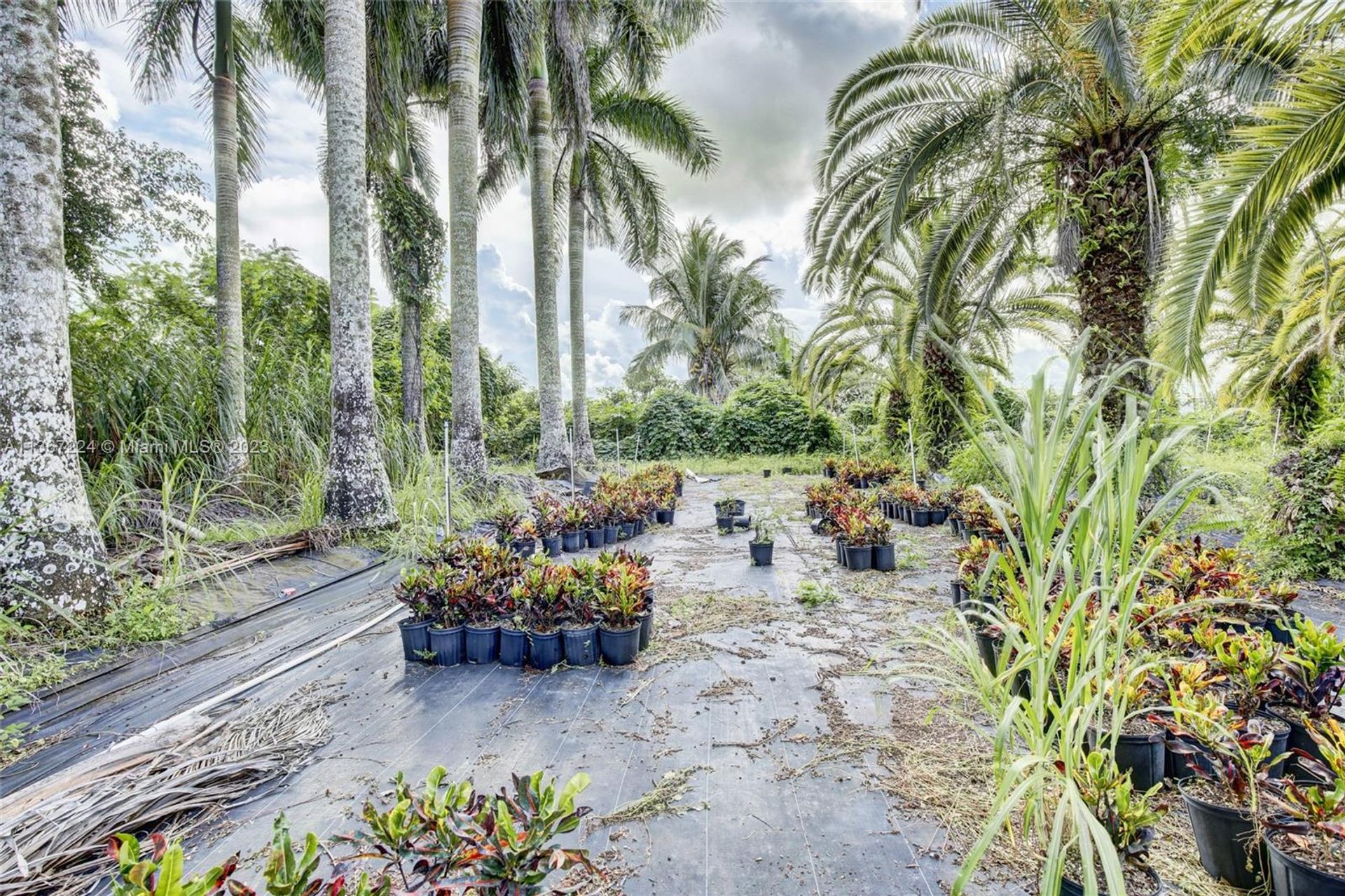 Земельные участки в Homestead, Florida 11656785