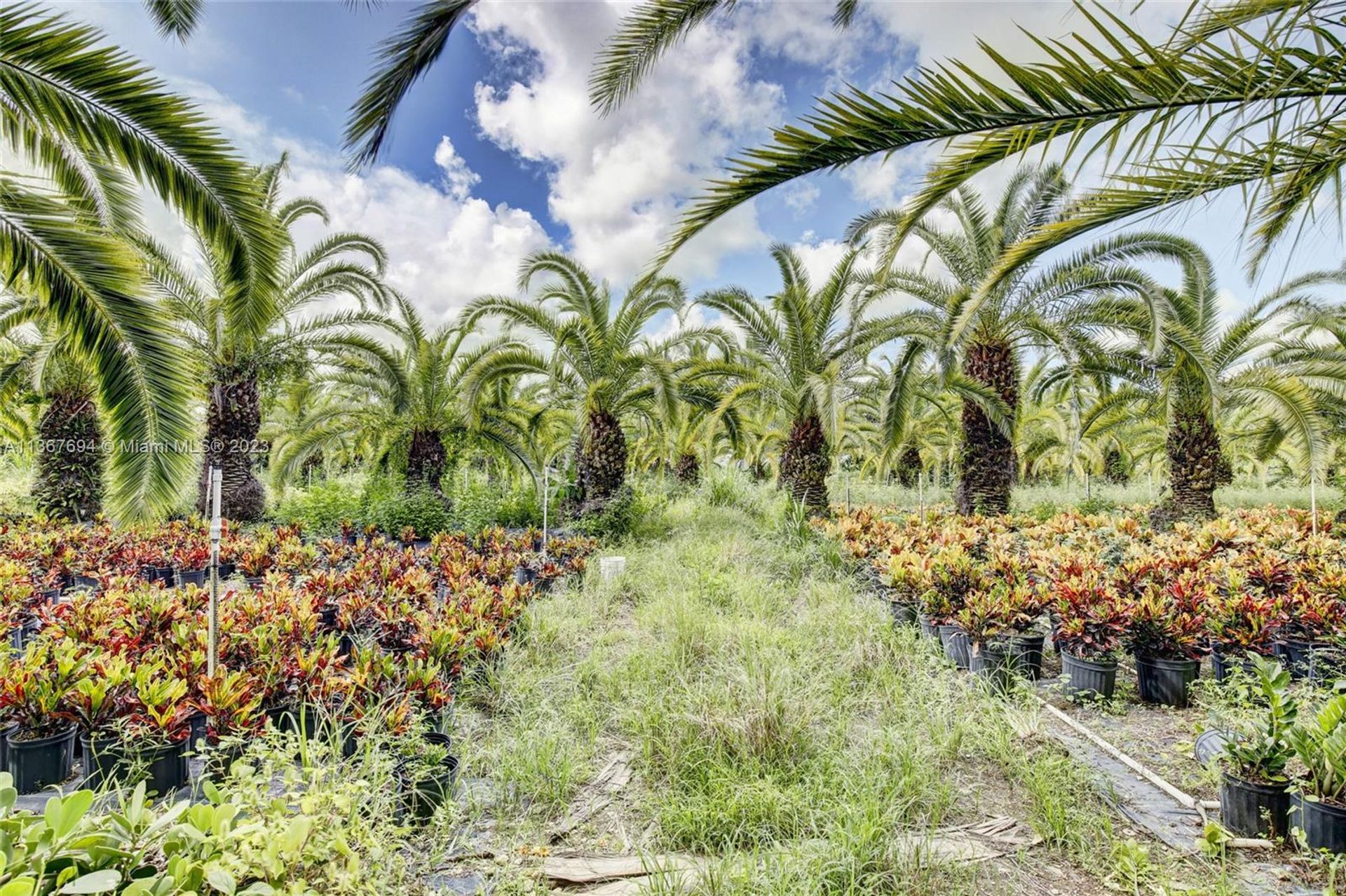 Maa sisään Homestead, Florida 11656787