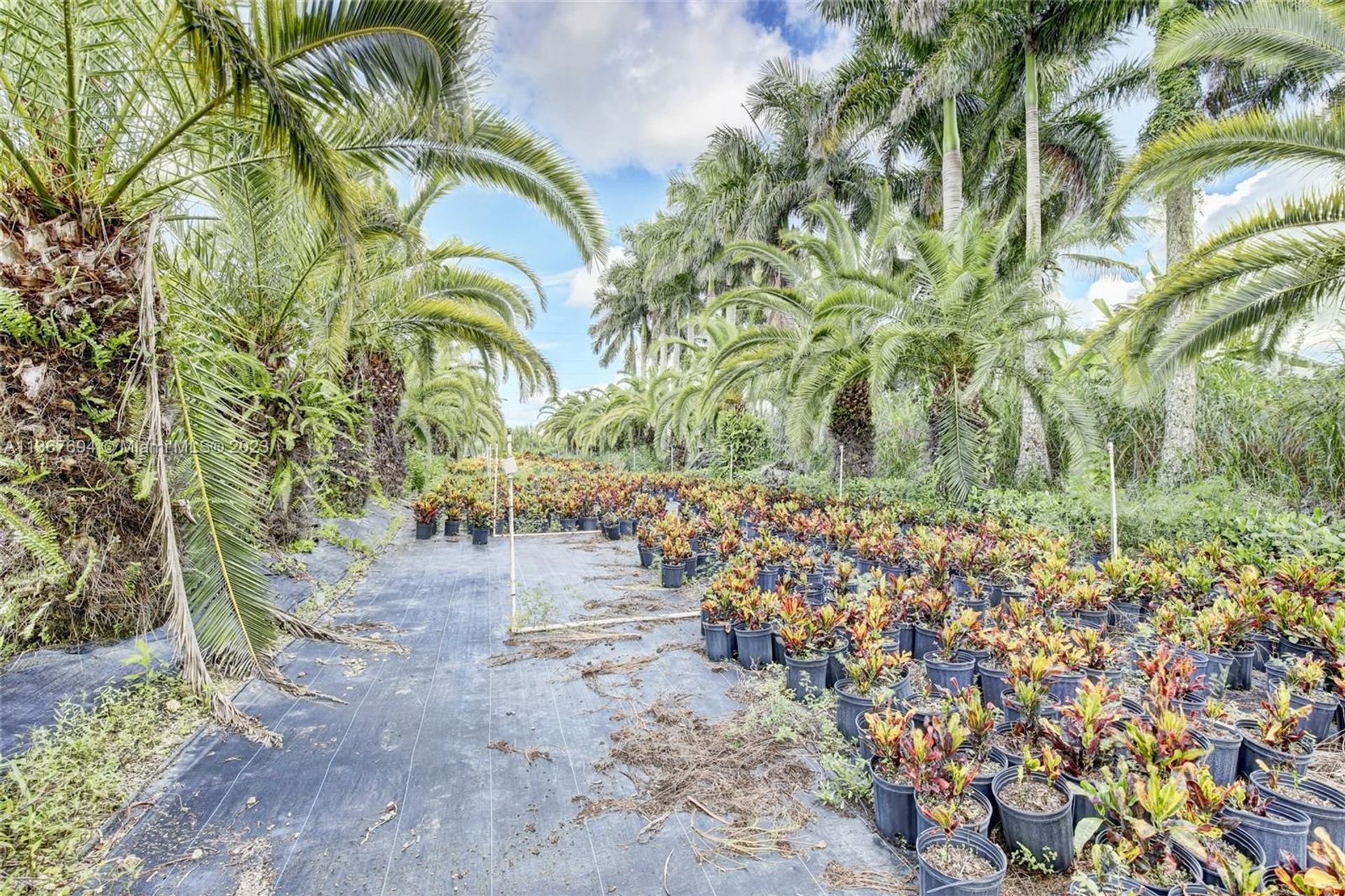 Maa sisään Homestead, Florida 11656787