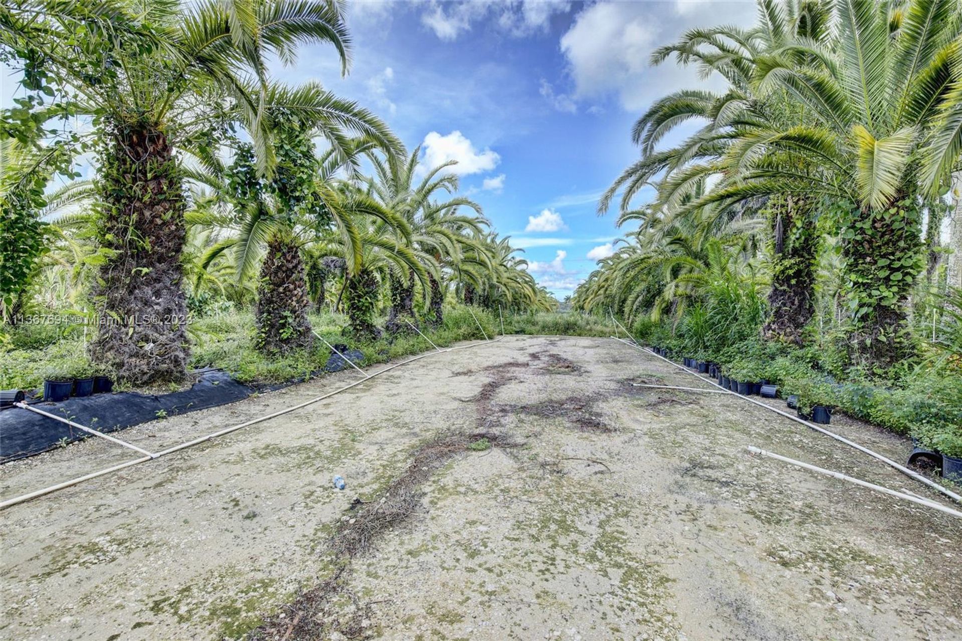 الأرض في Homestead, Florida 11656787