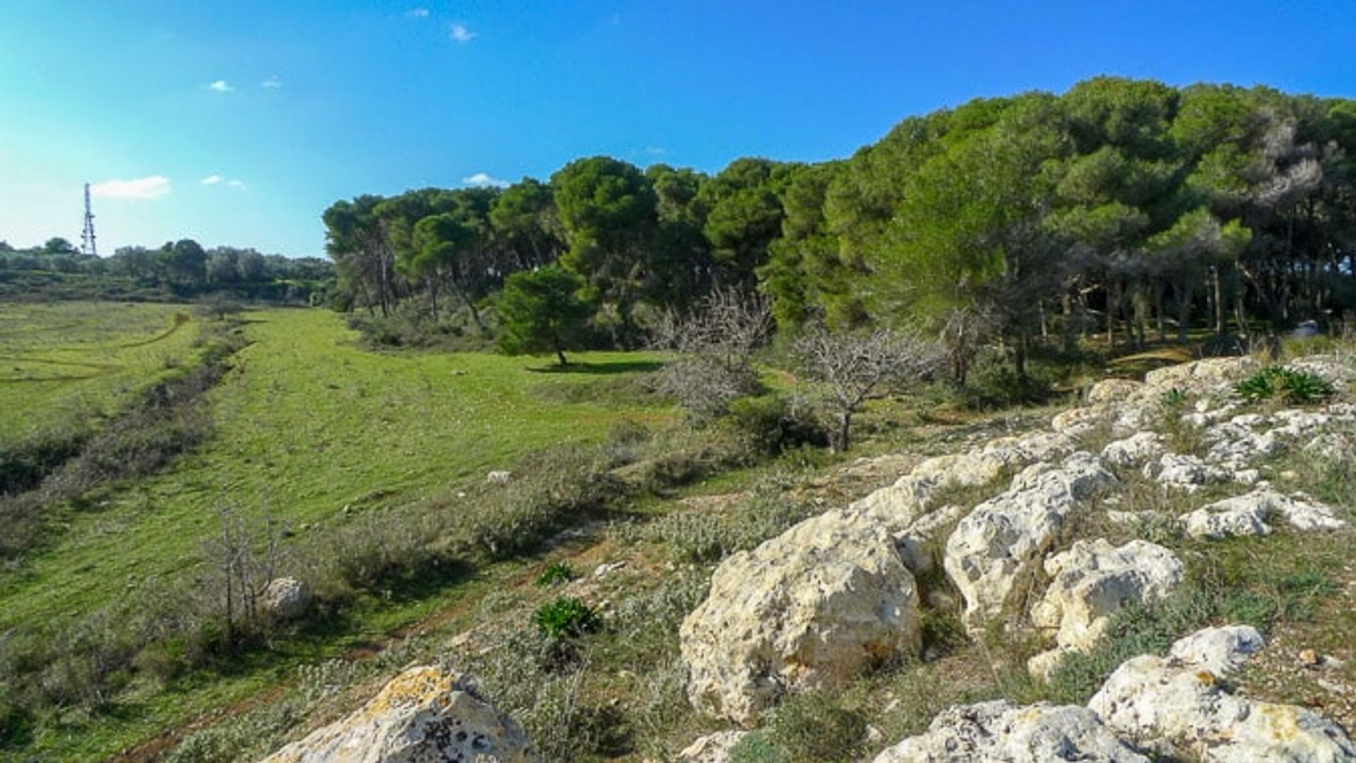 Casa nel Palmariggi, Apulia 11657278