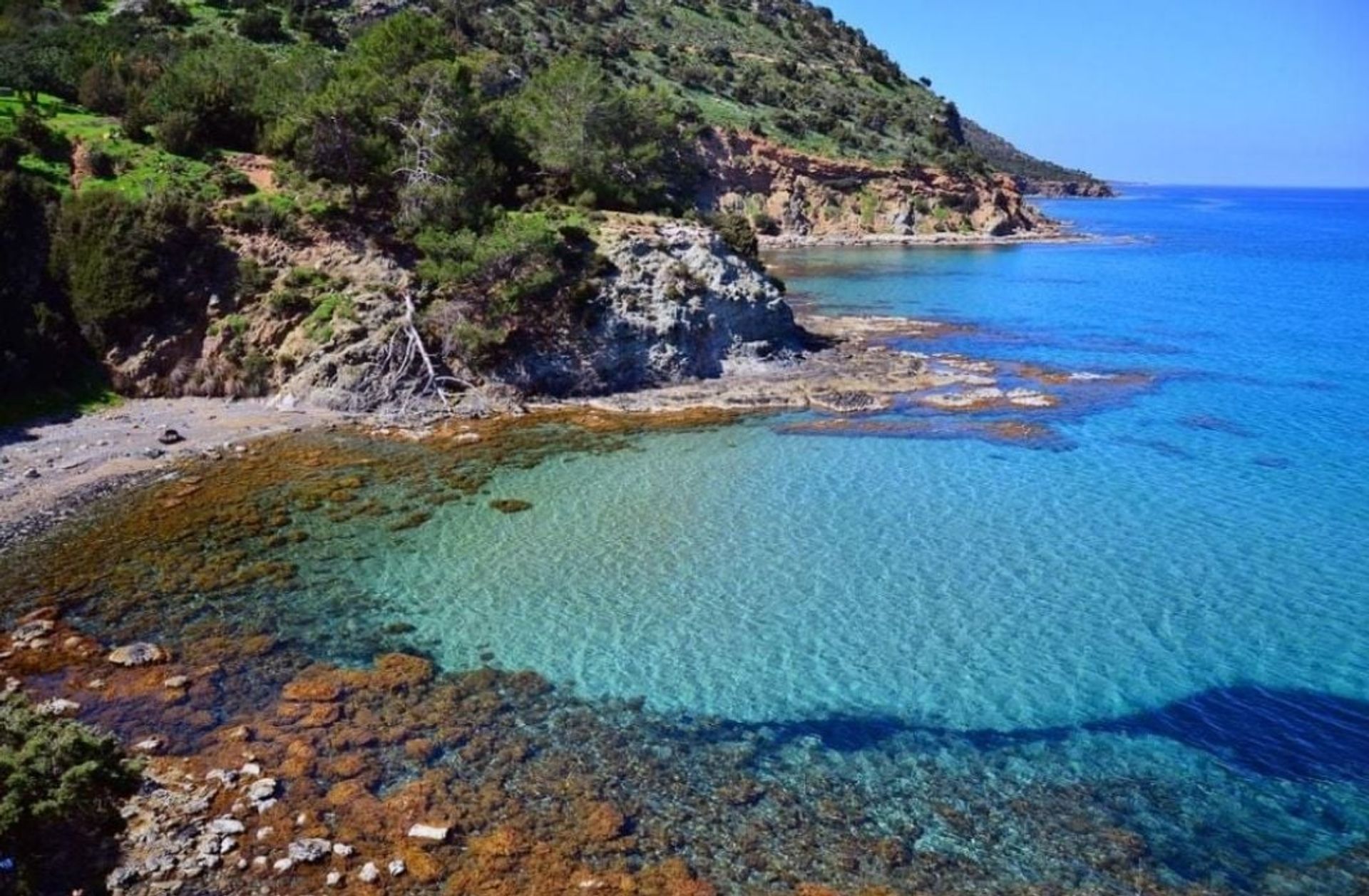 بيت في Neo Chorio, Paphos 11657283