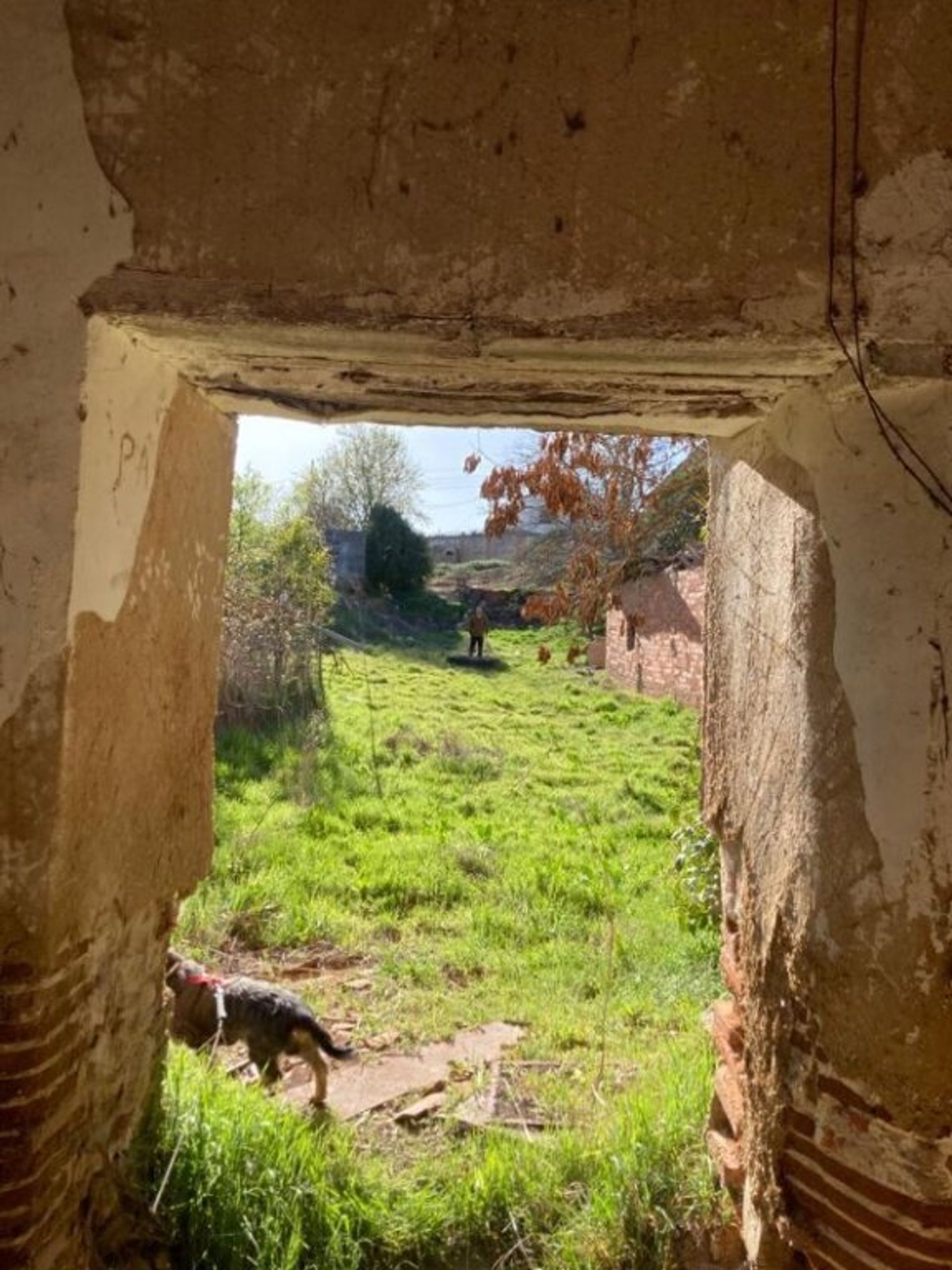 rumah dalam Rueda, Castilla y León 11657564