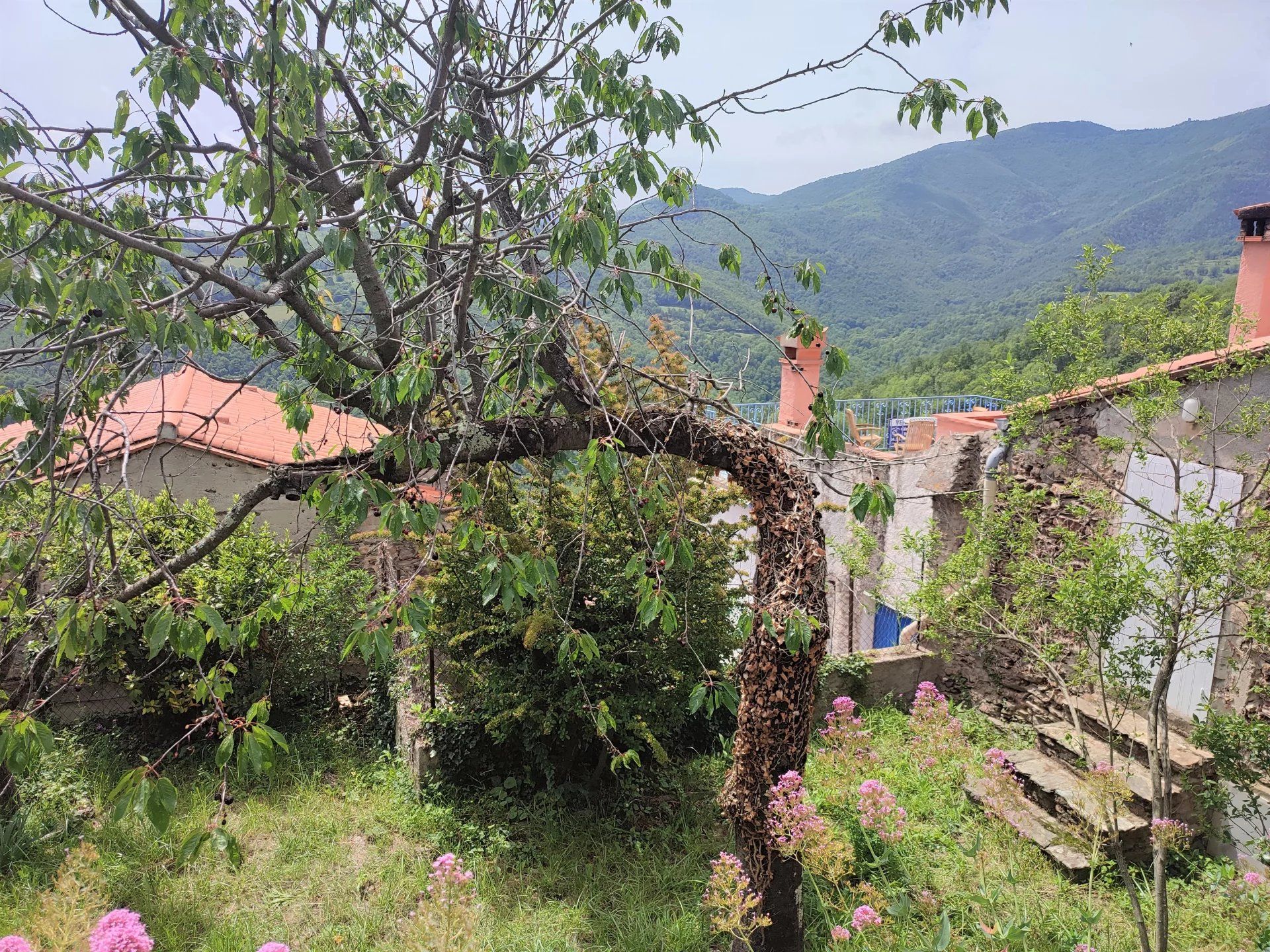 Dom w La Bastide, Pyrénées-Orientales 11657679