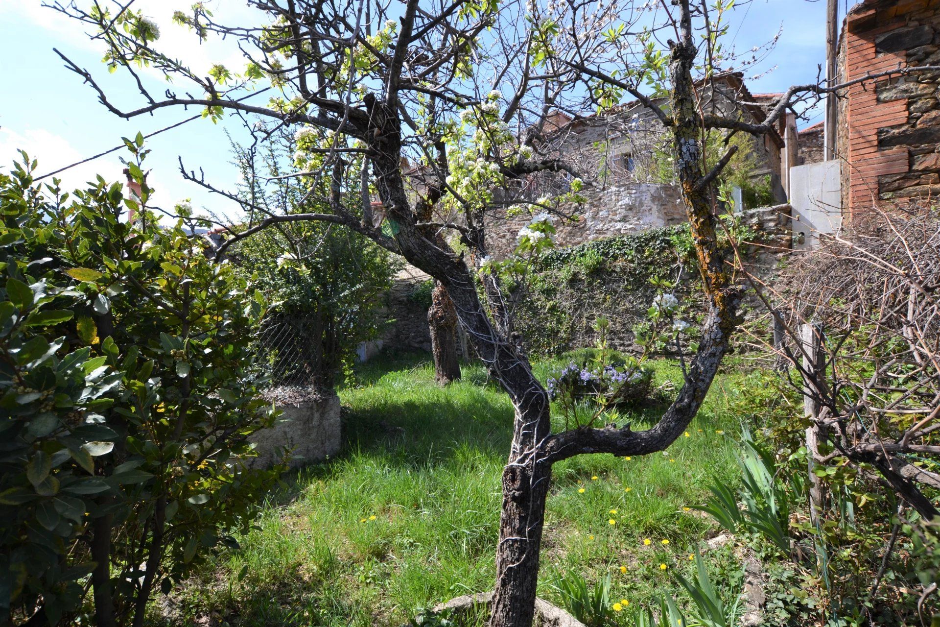 Dom w La Bastide, Pyrénées-Orientales 11657679