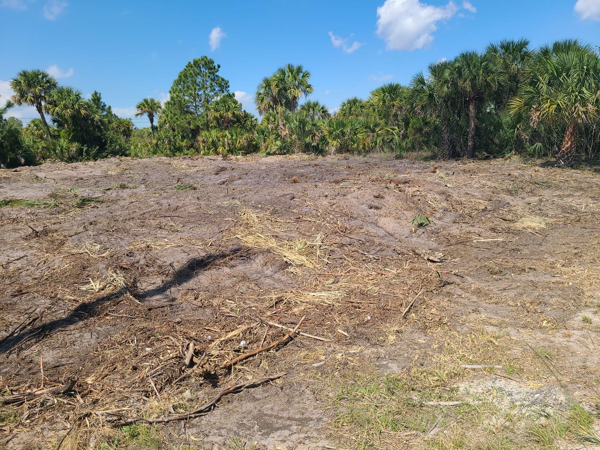 Terre dans Baie des Palmiers, Floride 11657706