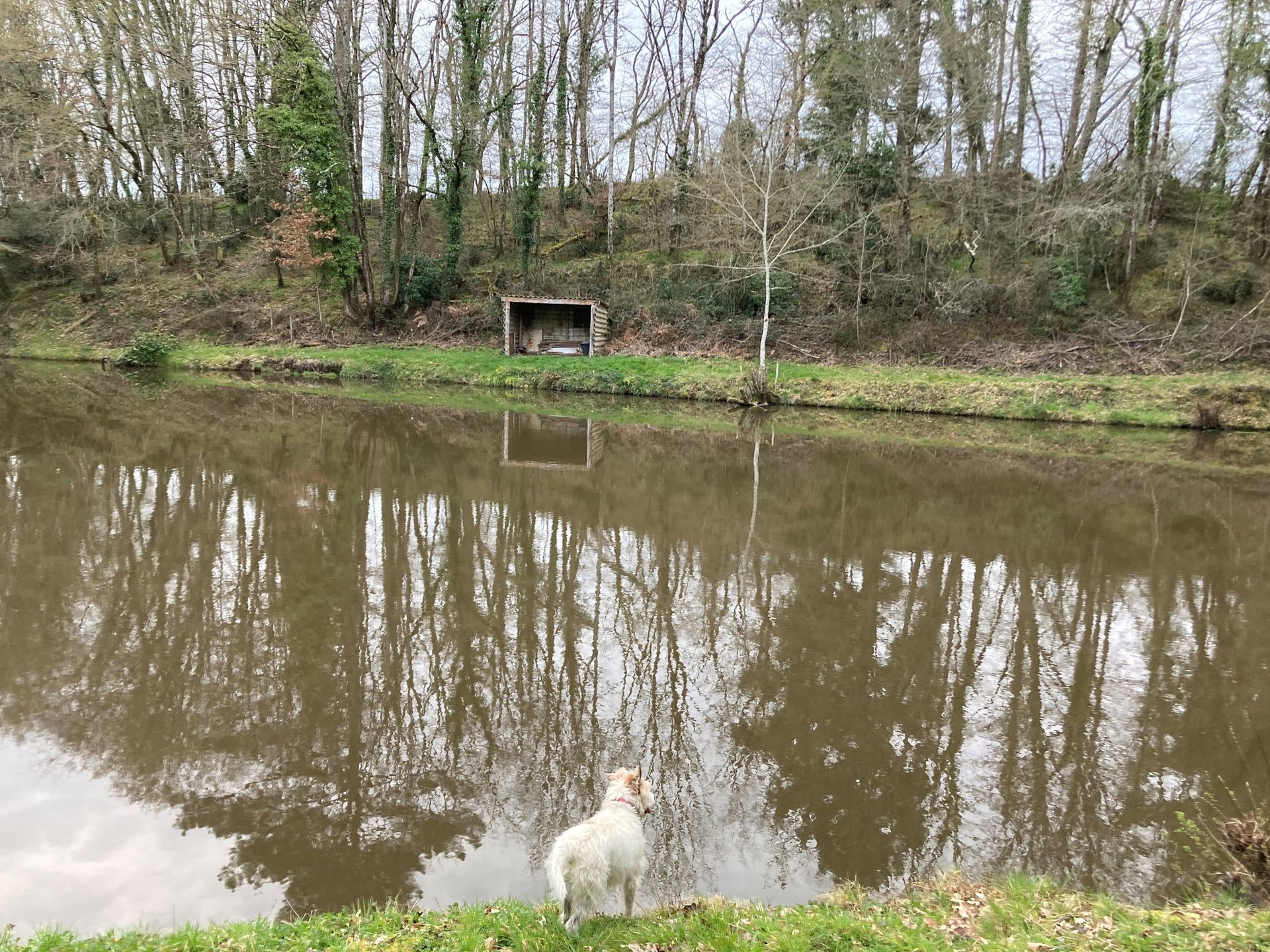 Casa nel , Nouvelle-Aquitaine 11658404