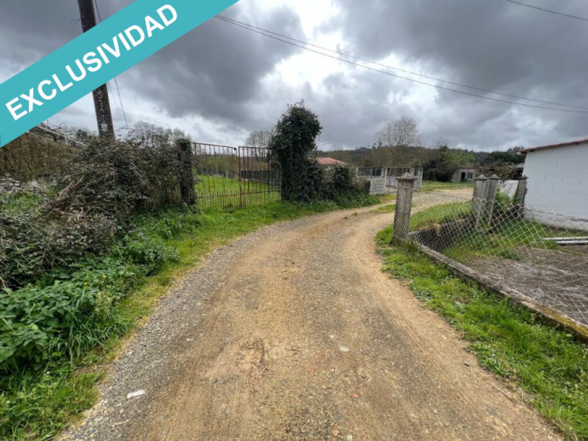 Land i O Pino, Galicia 11658431