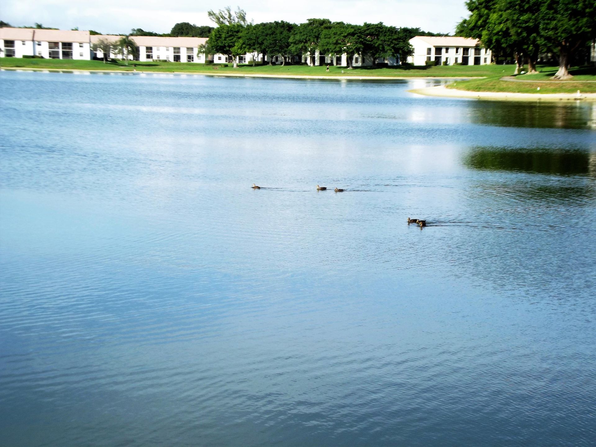 rumah dalam Boca Raton, Florida 11659910