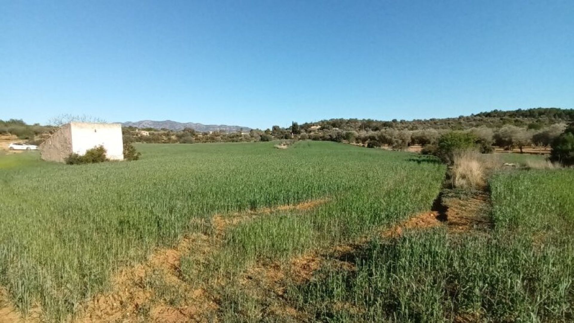 الأرض في Ulldecona, Cataluña 11662259