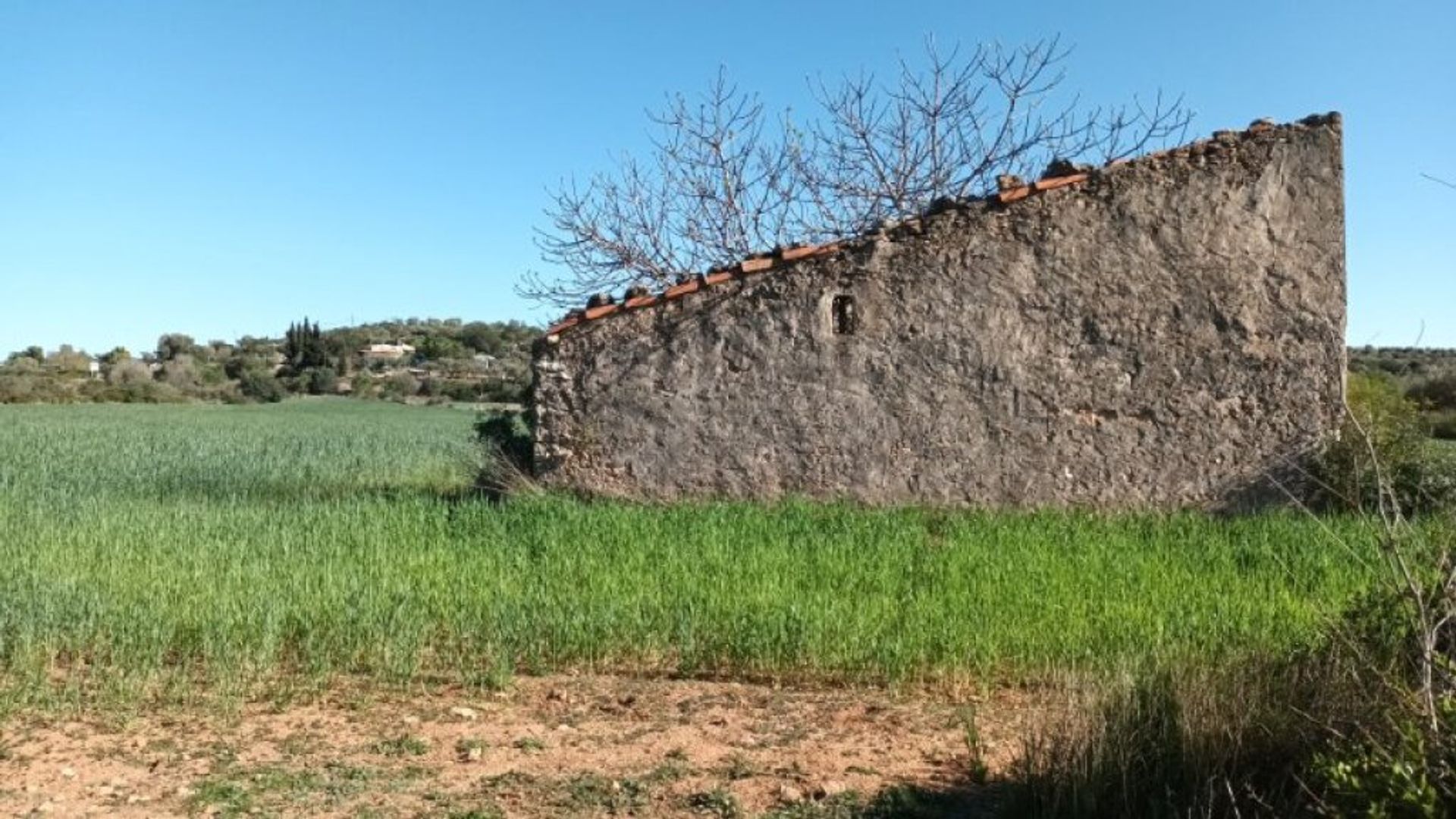 الأرض في Ulldecona, Cataluña 11662259