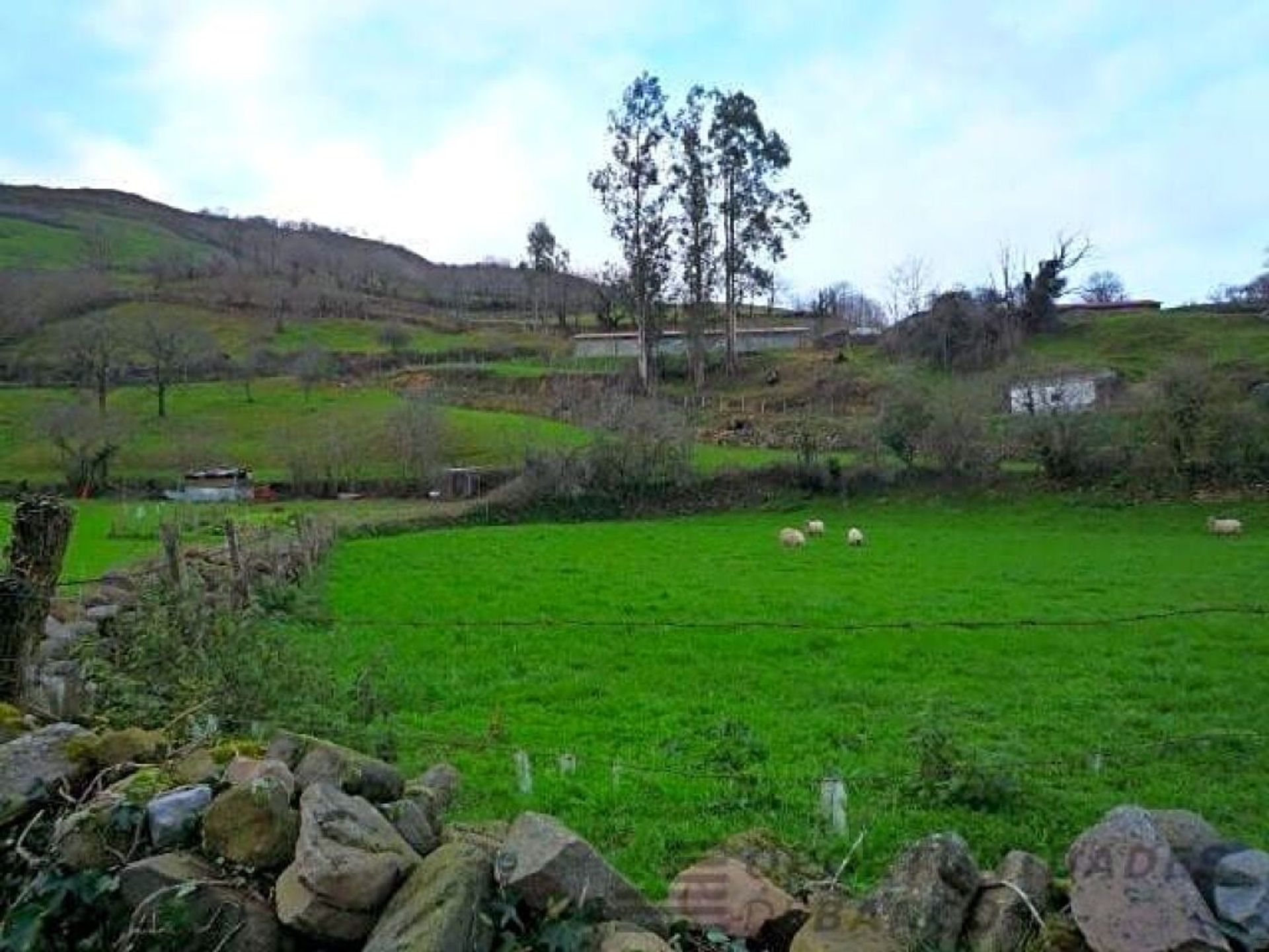 房子 在 Arenas de Iguña, Cantabria 11662283