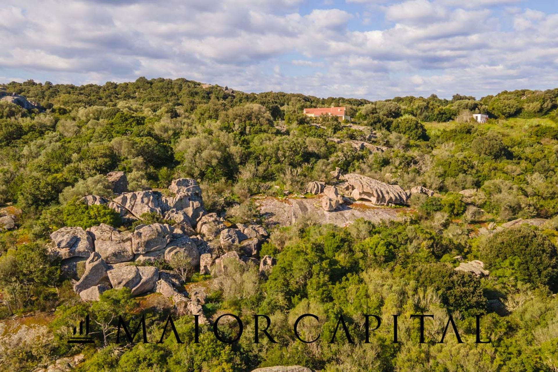 土地 在 Arzachena, Sardegna 11662728