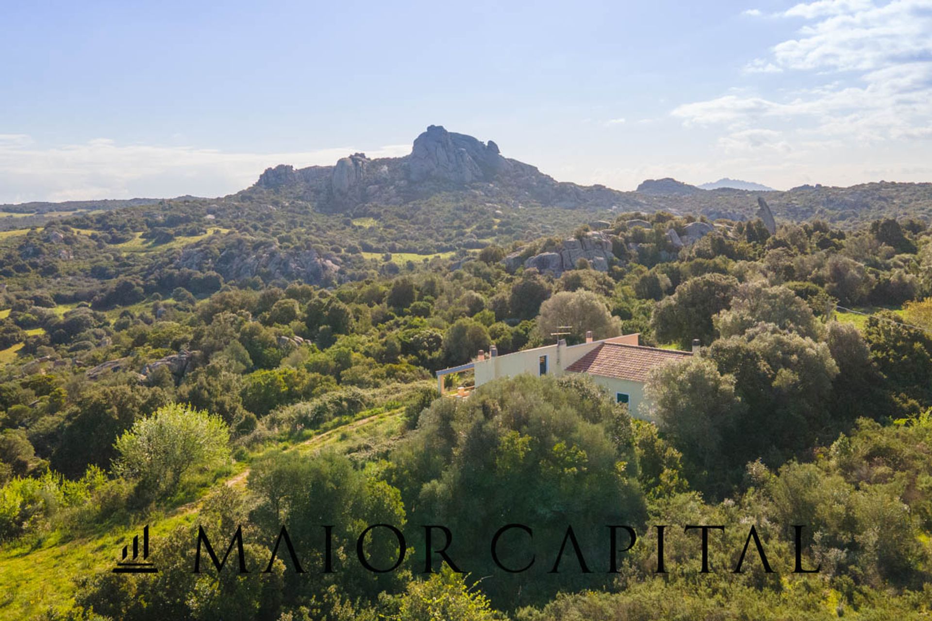 Tanah dalam Arzachena, Sardegna 11662728